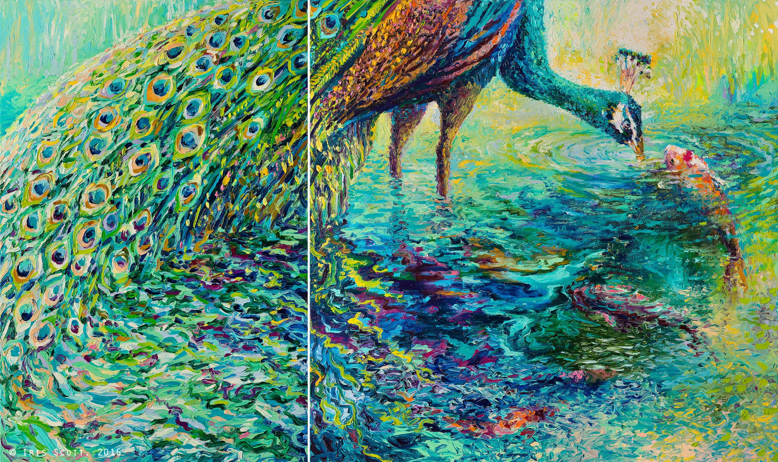 Peacock Parley Diptych | 60x36in Original SOLD | Buy Prints