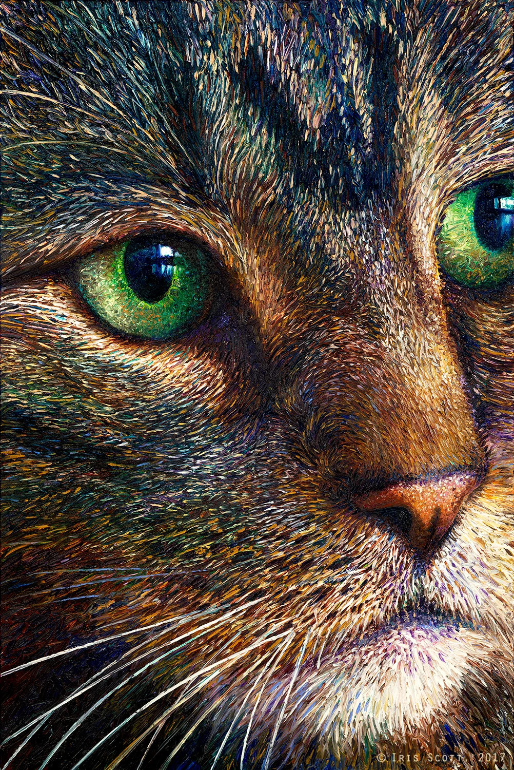 Tabby's Star | 40x60in Original SOLD | Buy Prints