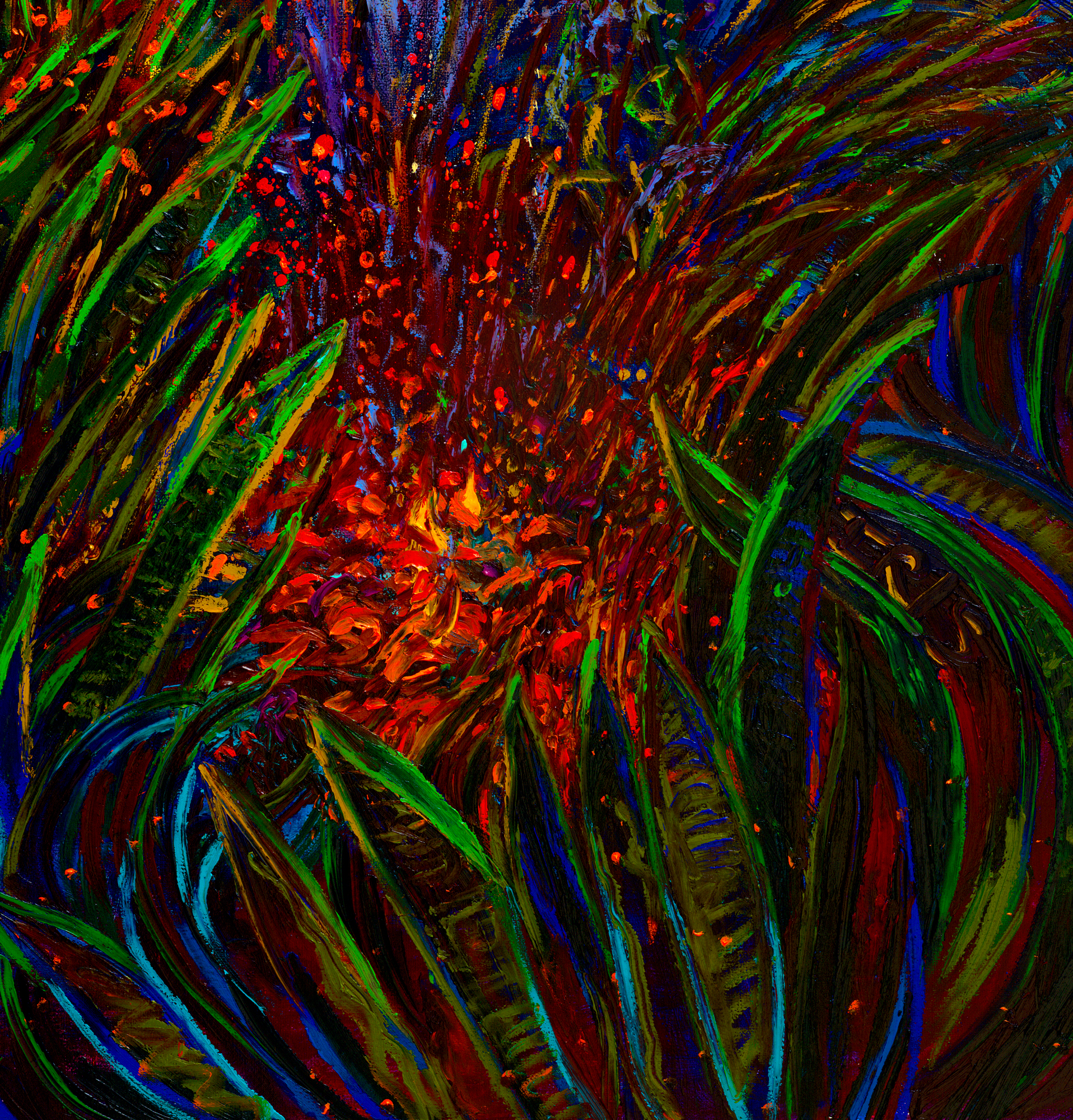 embers close up