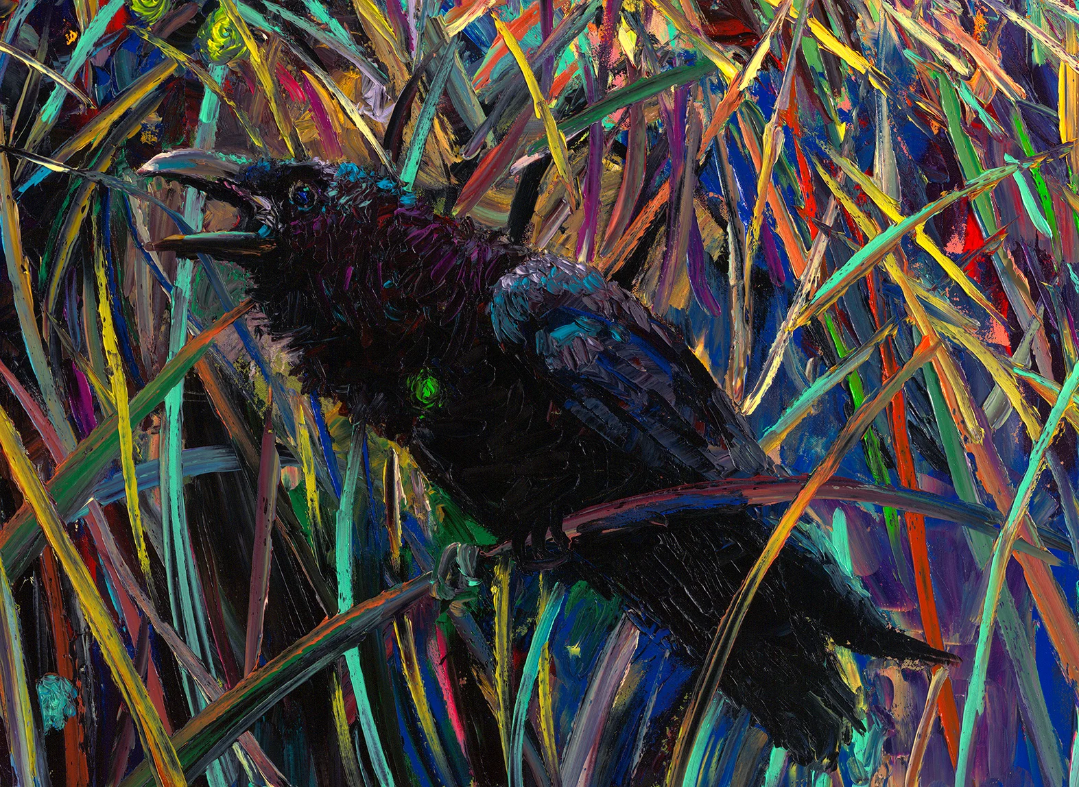 Crow-Zoom.jpg