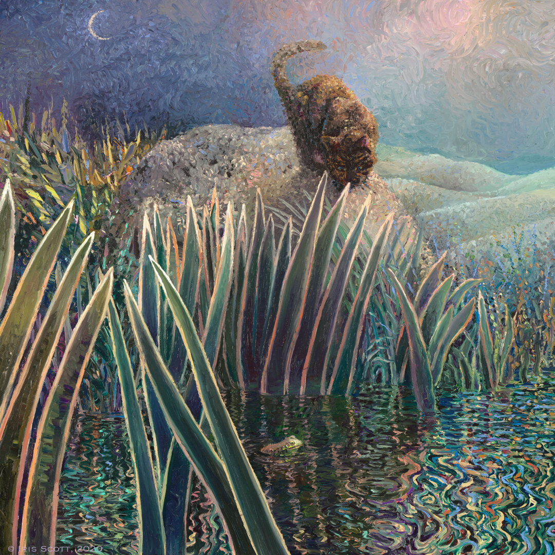 The Tortie and the Toad | 40x40in Original Sold | Prints