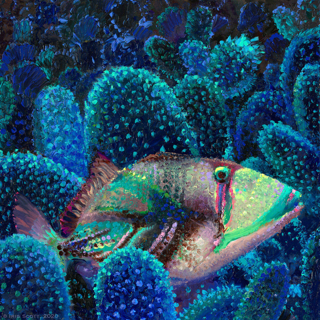Pull the Trigger | 16x16in Original Sold | Prints