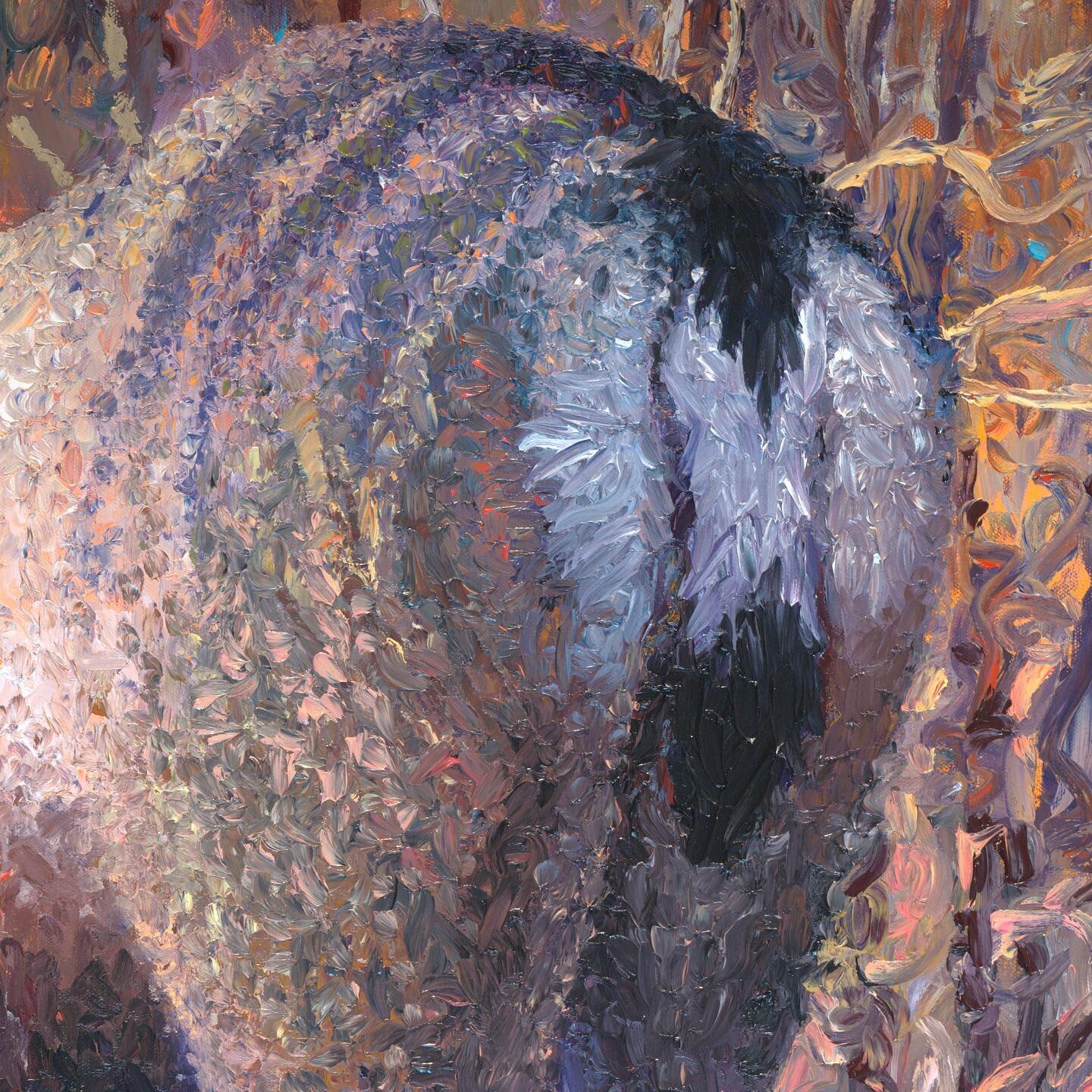 Detail of the handsome rump of my new  #muledeer painting! 60x48 inch this painting was commissioned, client specified the desire for a male. The rest he left up to me and he enjoyed the surprise. Can u tell the difference between mule deer and #whit