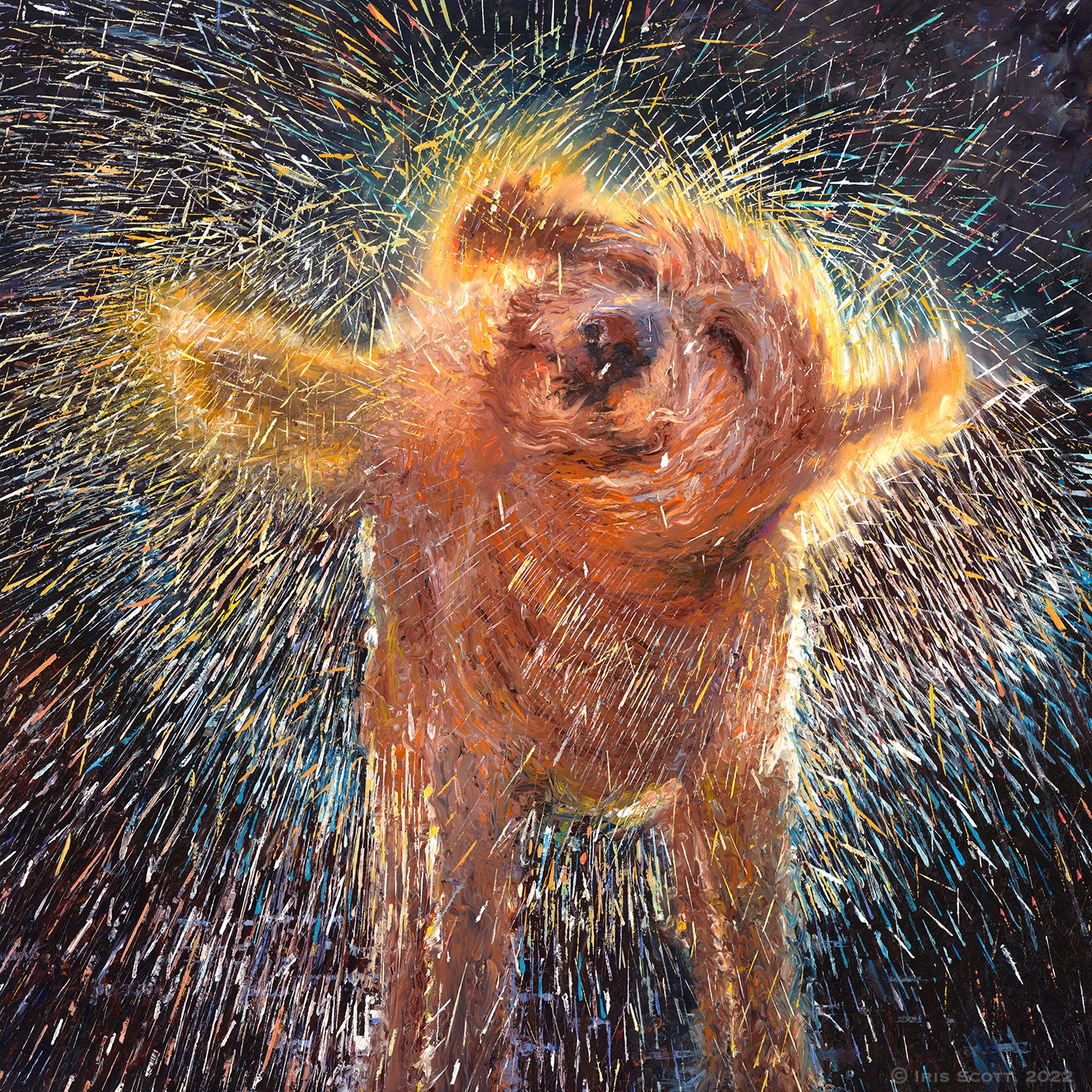 Sparky | 36x36in Original Sold | Prints
