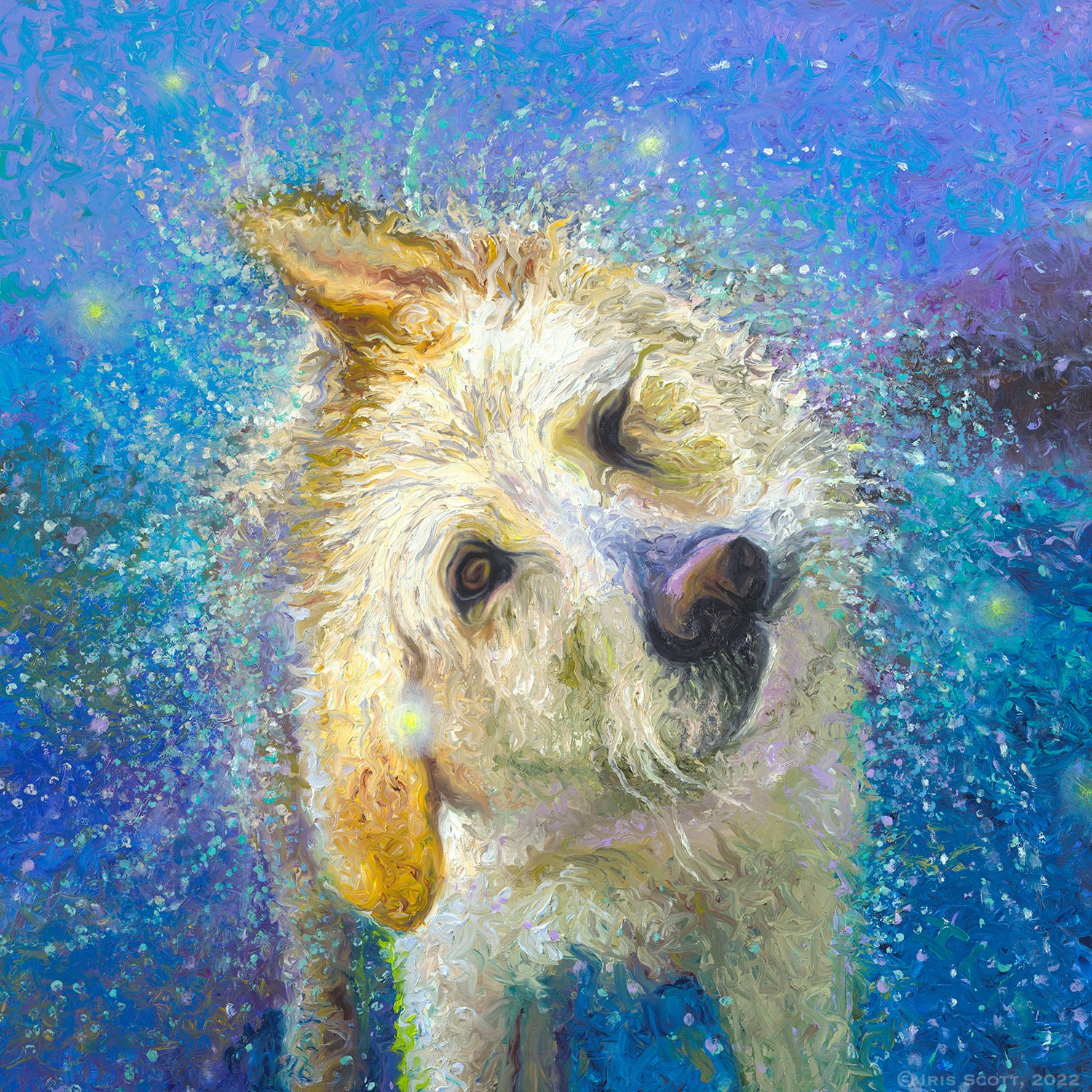 Brodie | 30x30in Original Sold | Prints