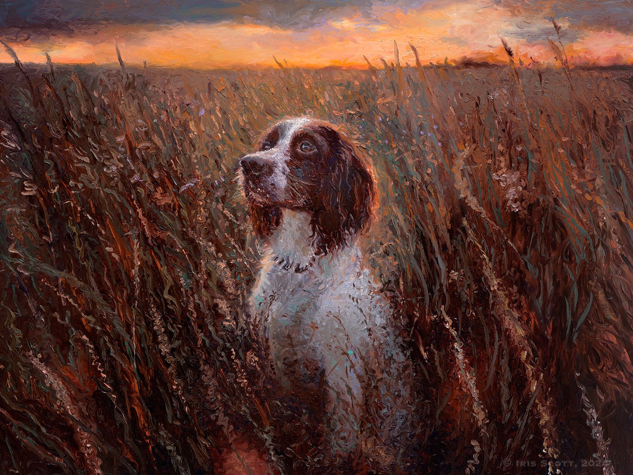 Champ | 36x48in Original Sold | Prints