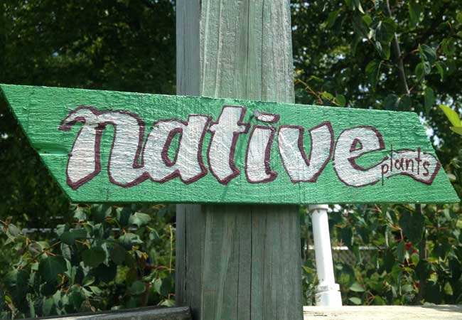 native..jpg