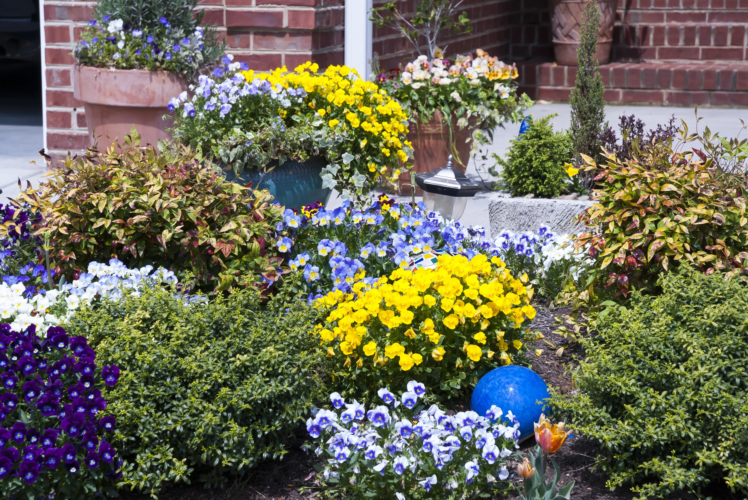 Refresh Yourself as Well as Your Garden With Fall Color