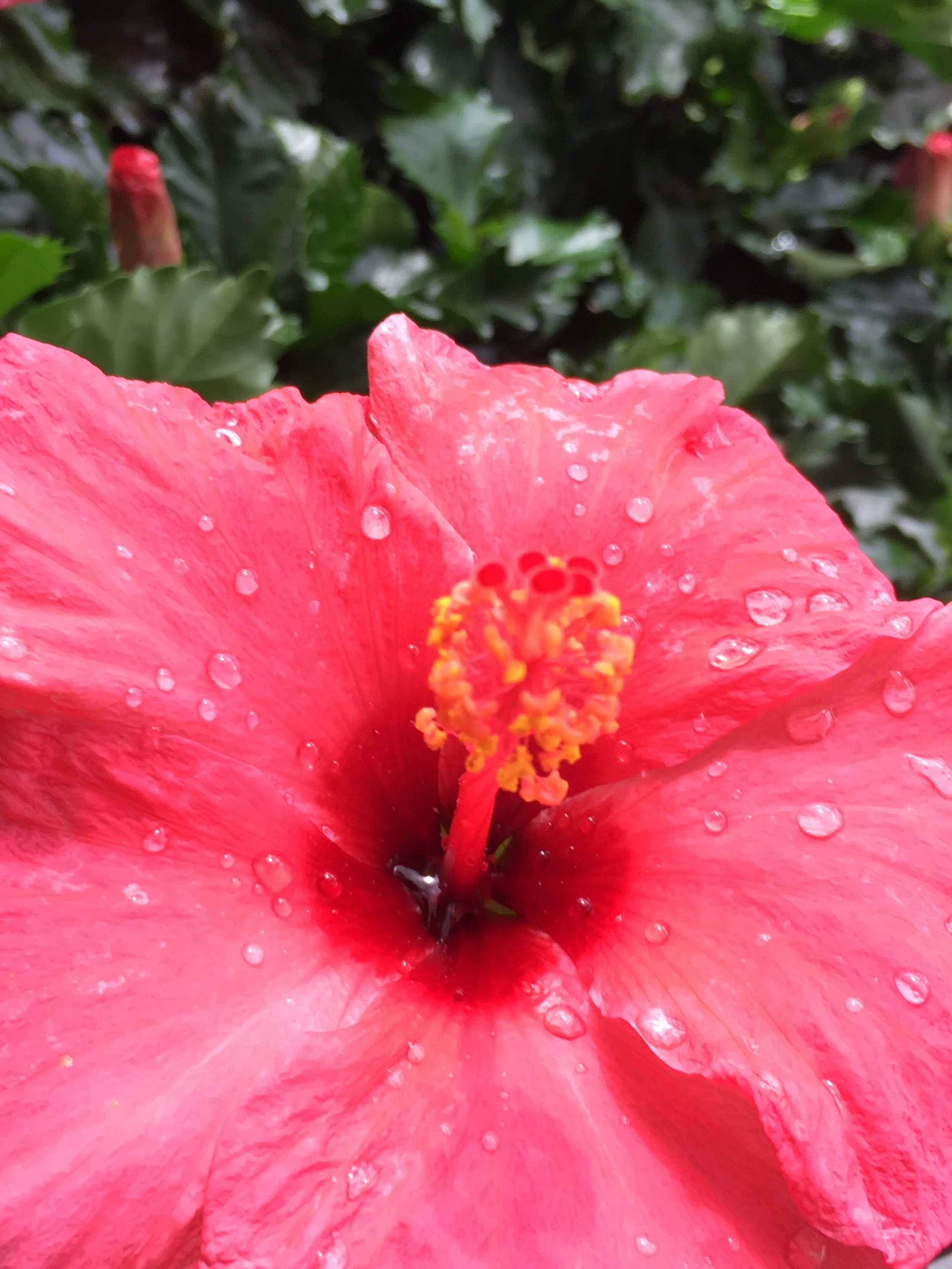 Check Out Our In-season Summer Sale!