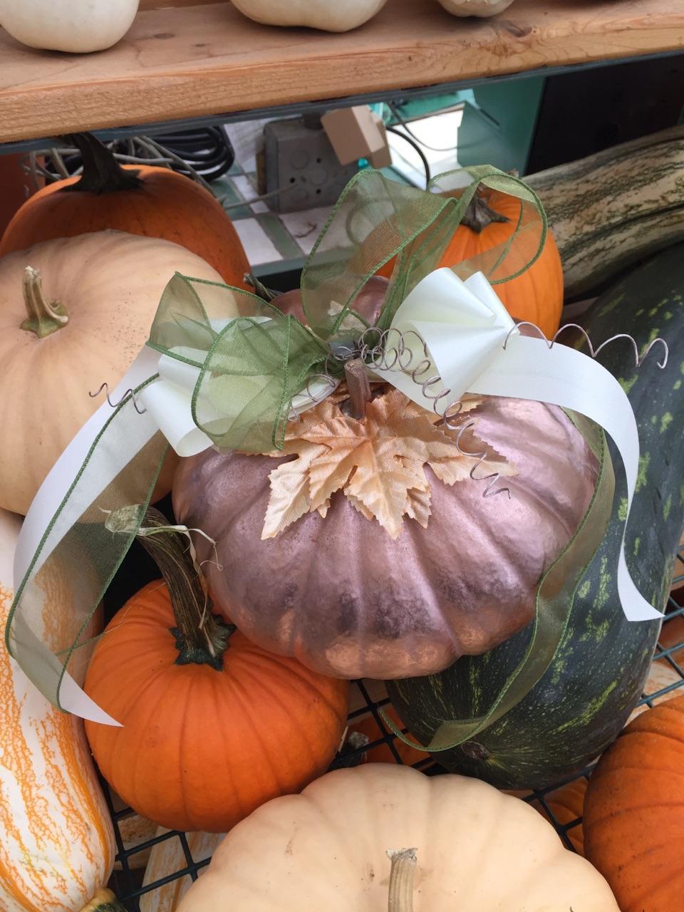 Easy & Fun Fall Decorating Workshop