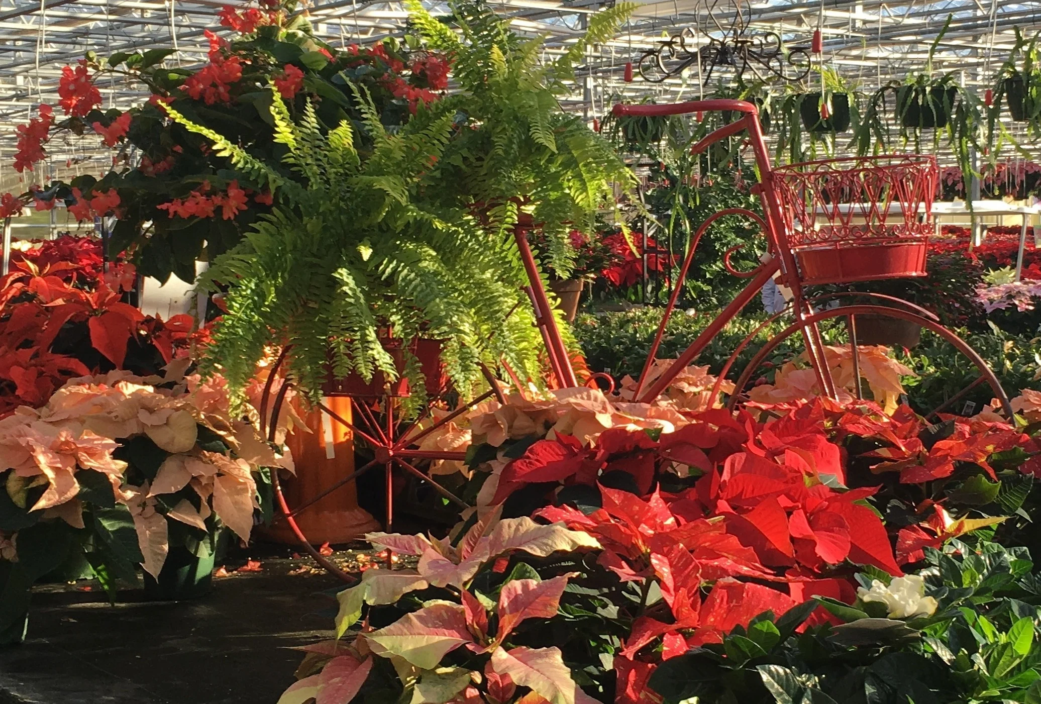 Stanley's Holiday Open House