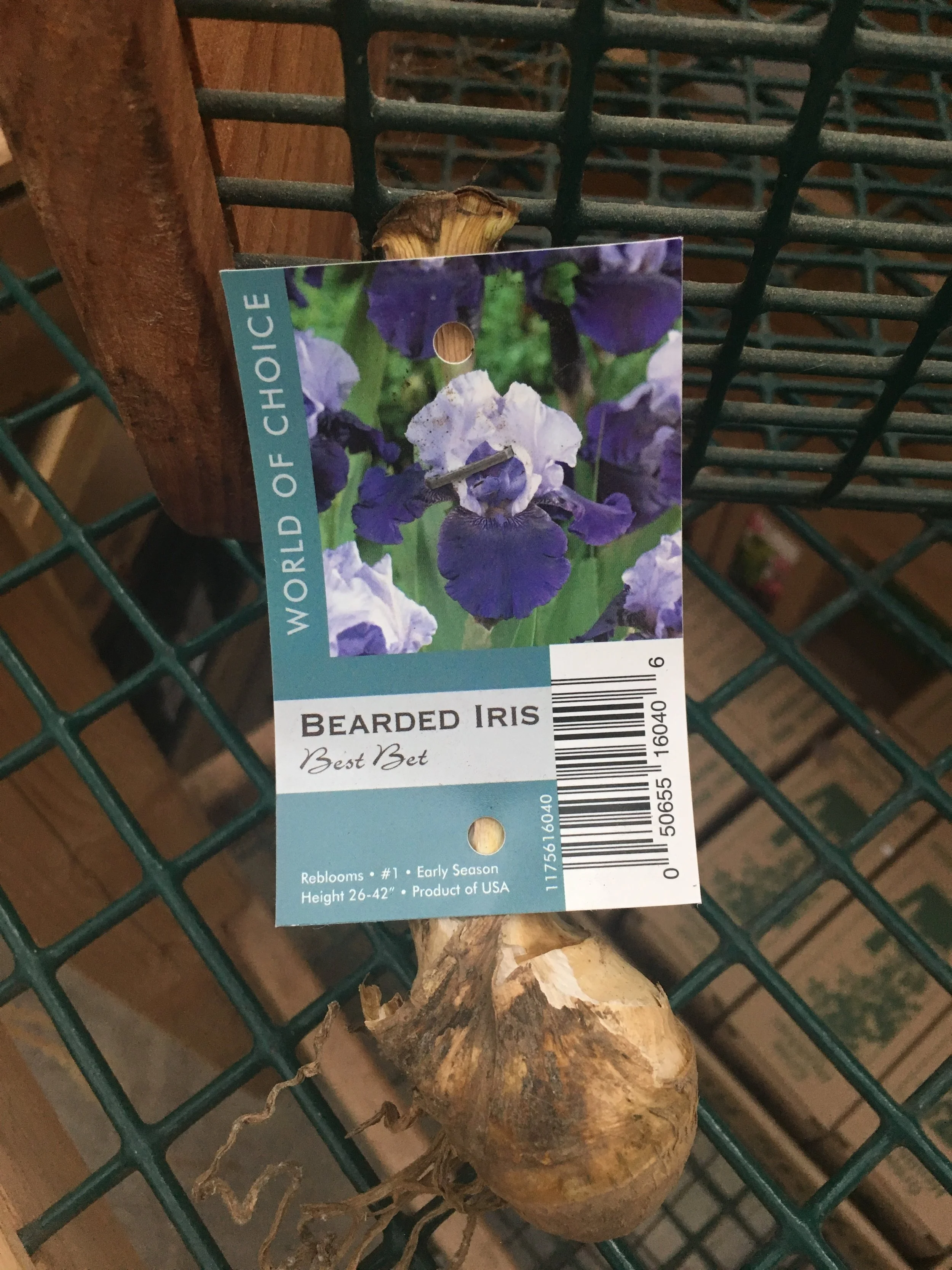 Iris Seminar and Rhizome Sale