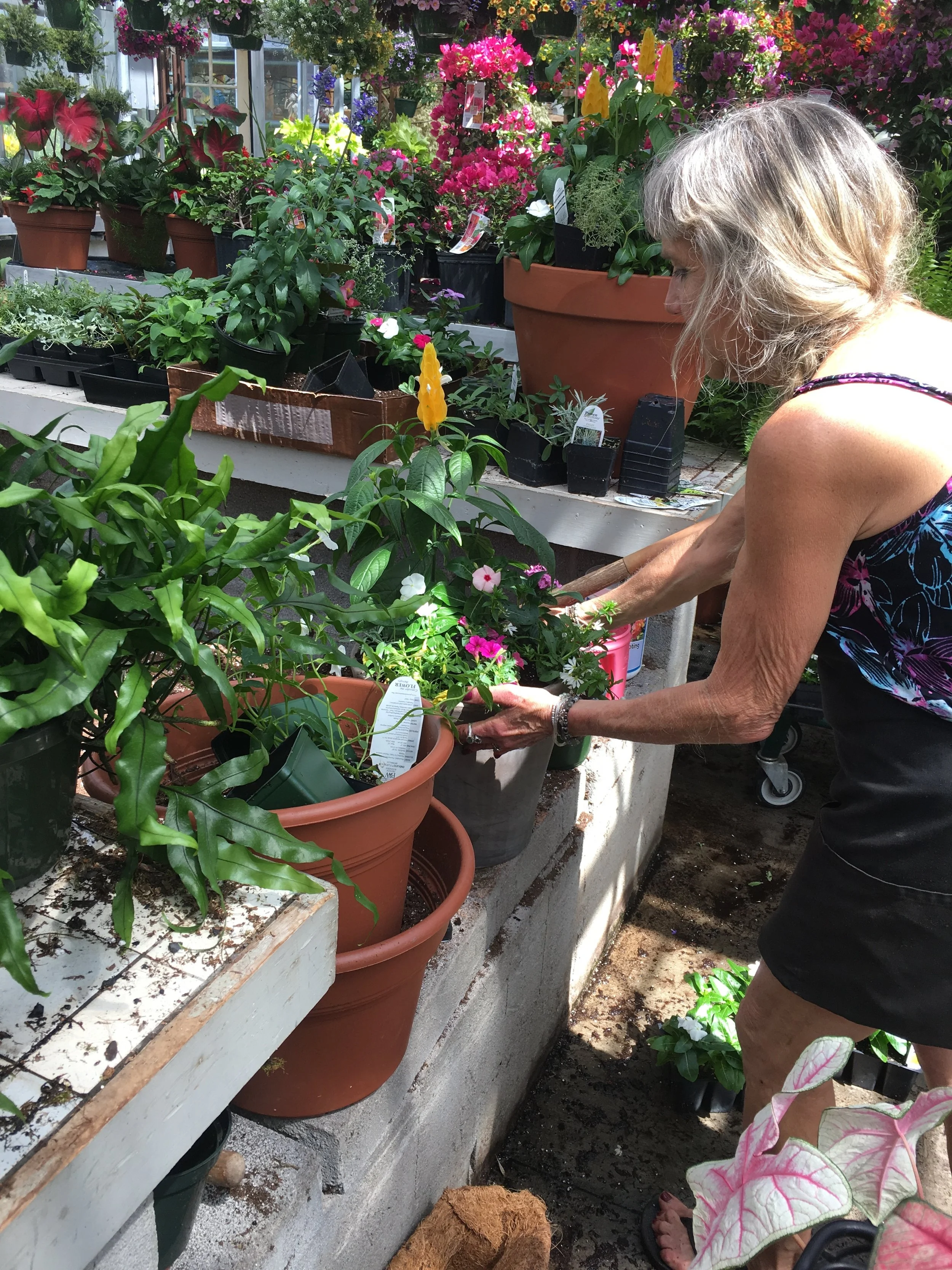 Spring Container Gardening