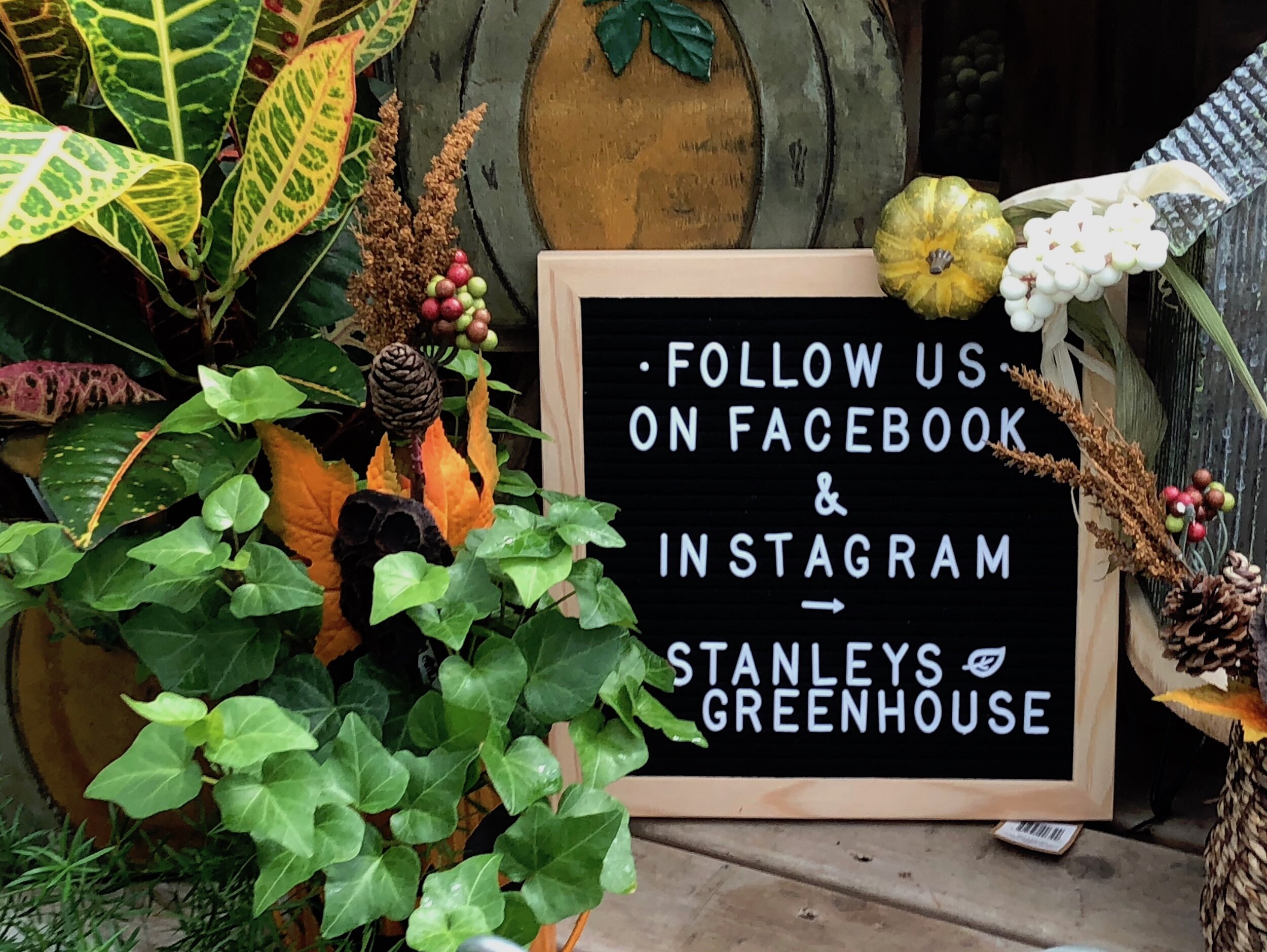 Facebook & Instagram signage 2019.jpeg