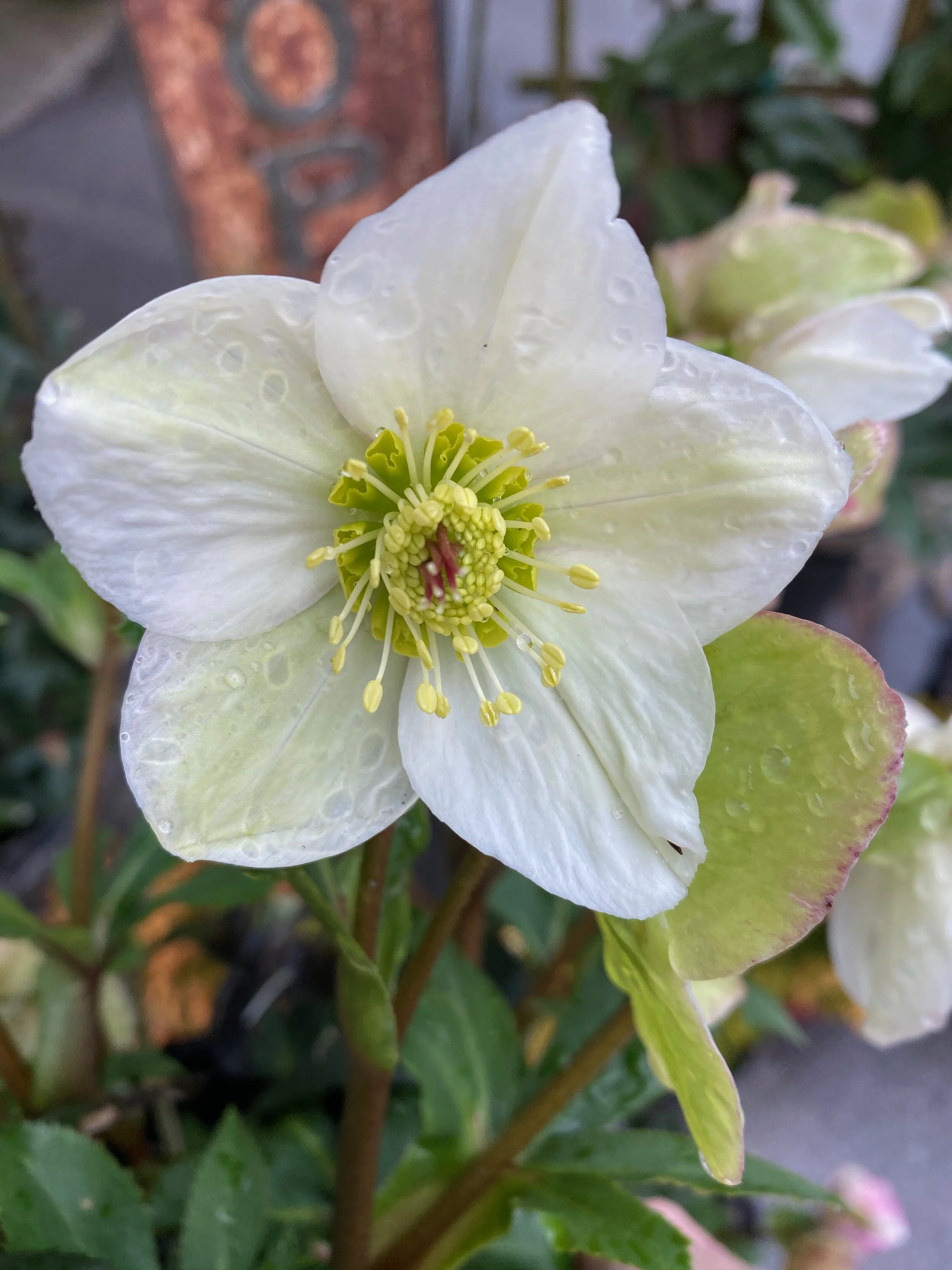 Our Events Schedule Changes Due to the Coronavirus Disease (COVID-19)