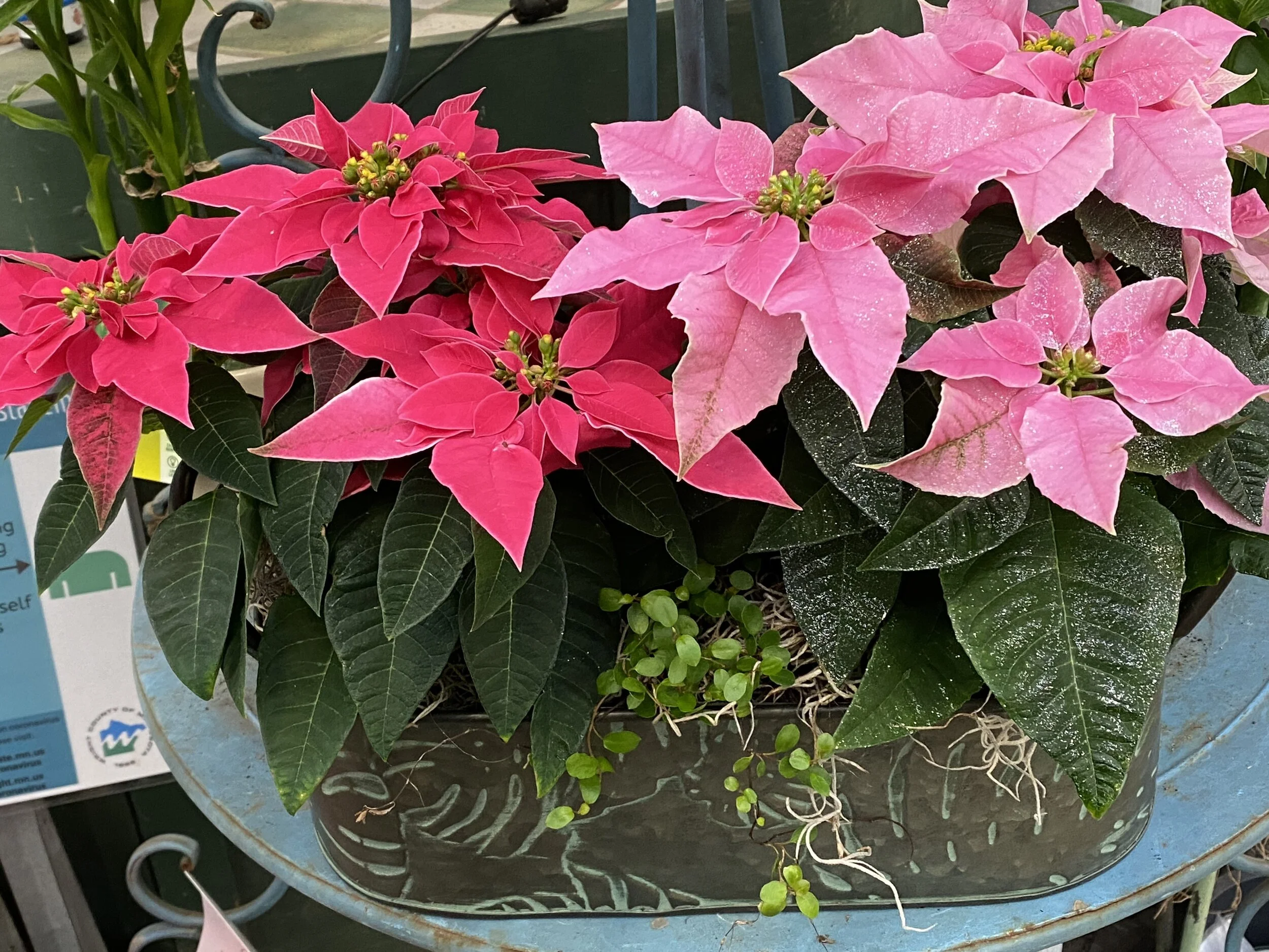 Stanley's Sunday Marketplace