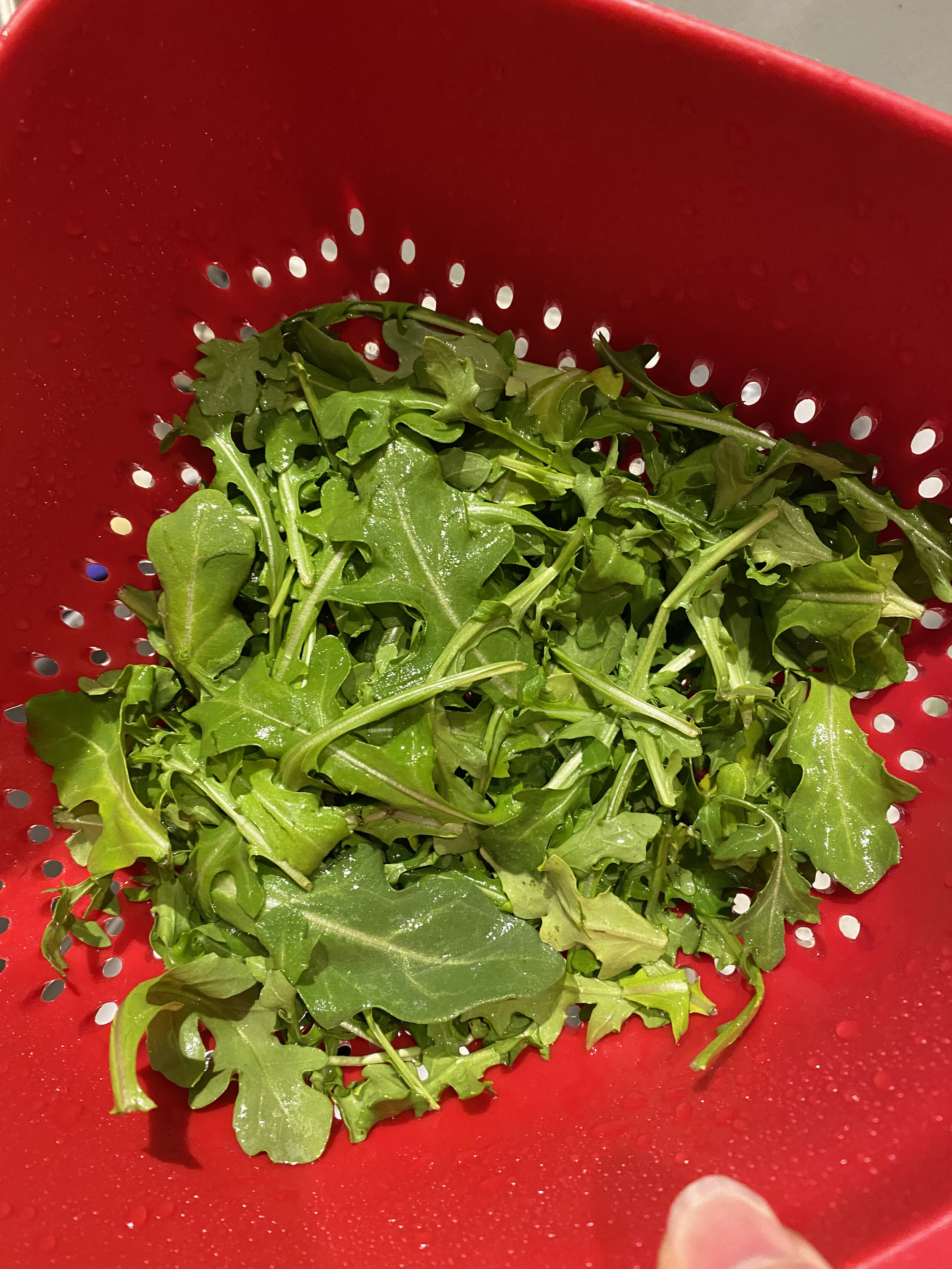 Spring 2021: The Perfect Time to Grow More of Your Own Food