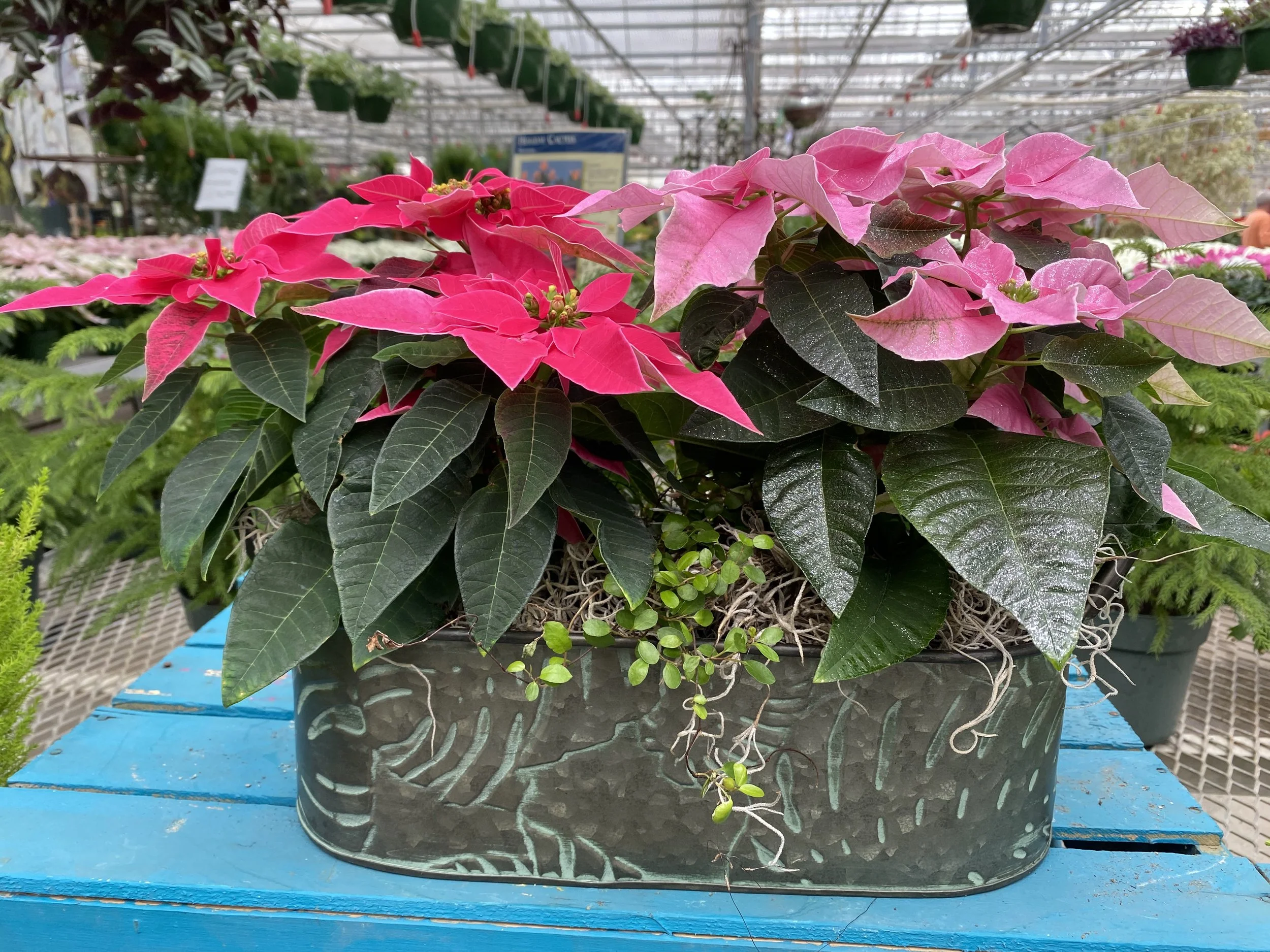 Stanley's Sunday Holiday Marketplace Event #1