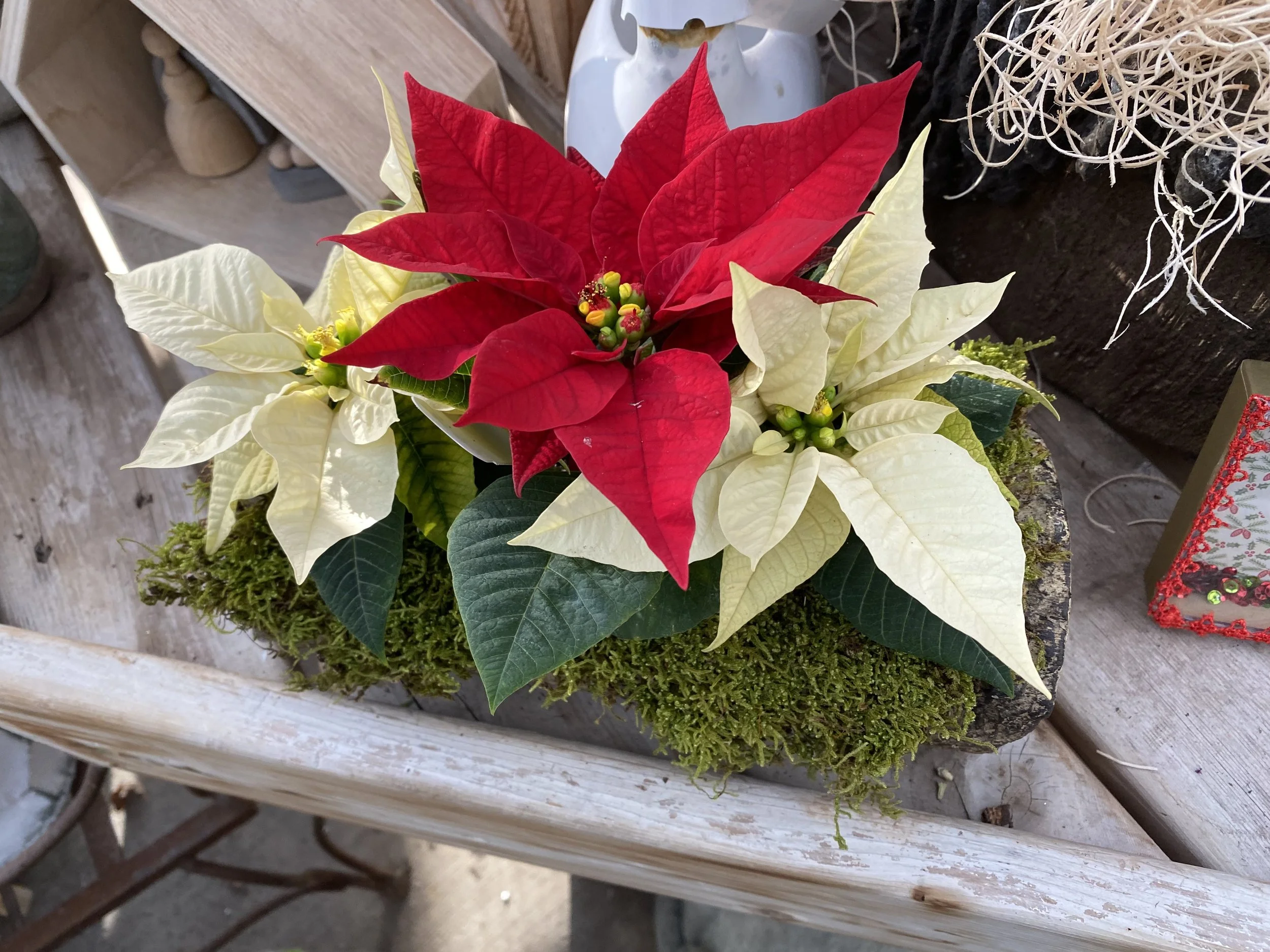 Stanley's Sunday Holiday Marketplace Event #3