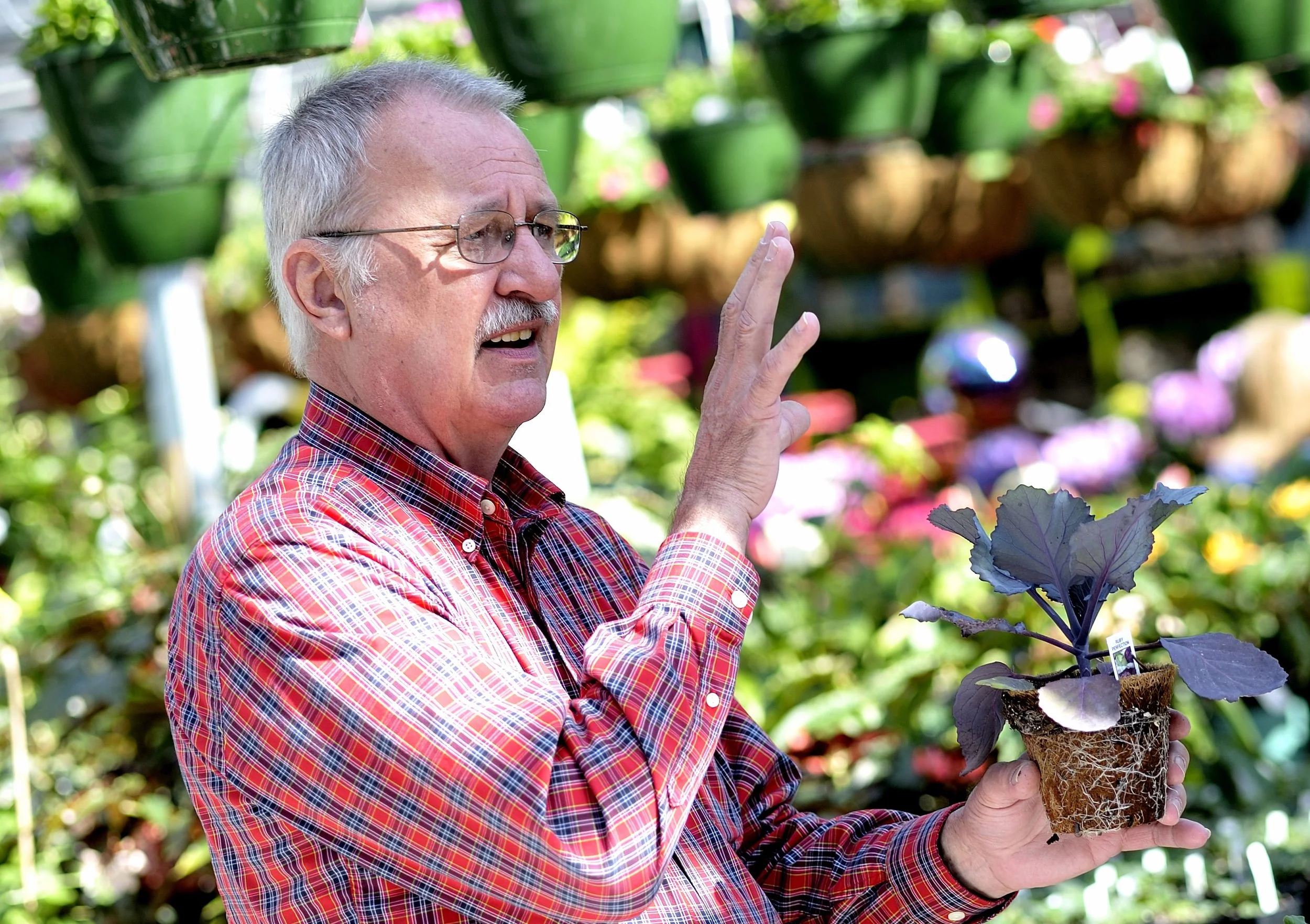 Vegetable &amp; Edible Gardening With John Tullock