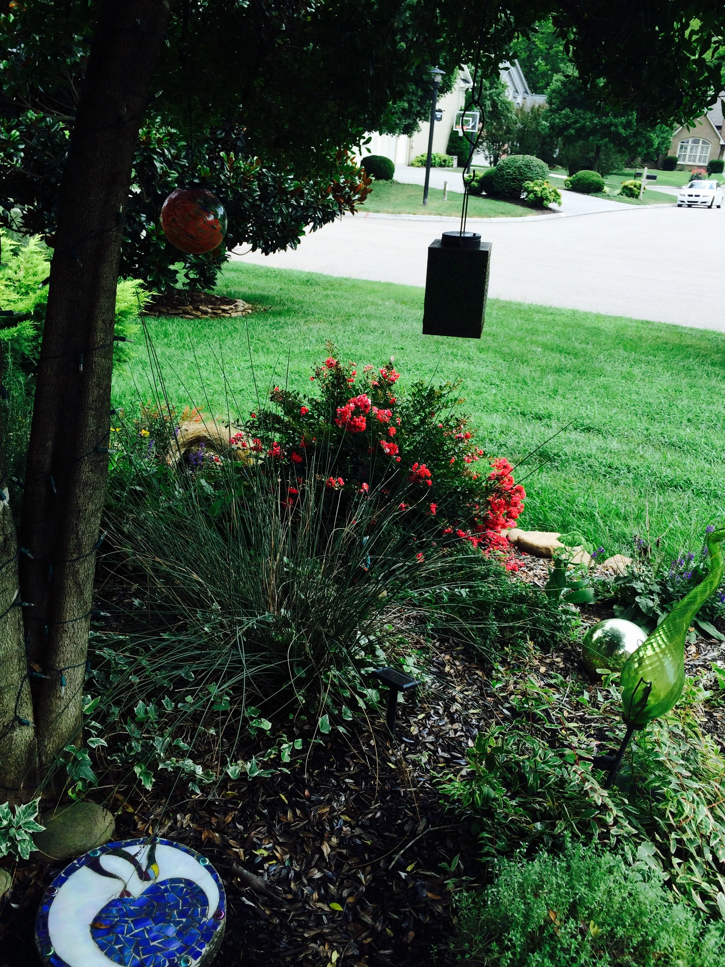 Twelve Common Landscape Mistakes and How to Avoid Them