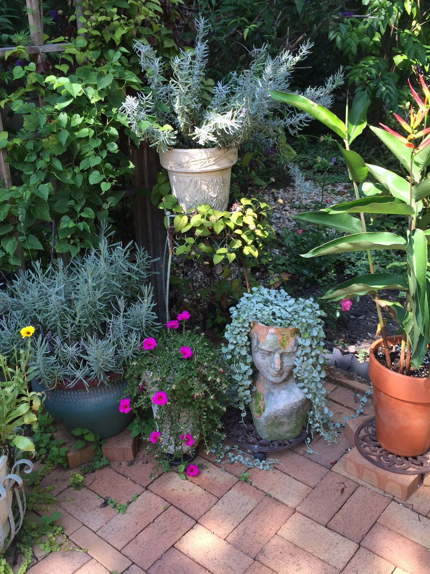 Container Gardening for Spring — Stanley's Greenhouse