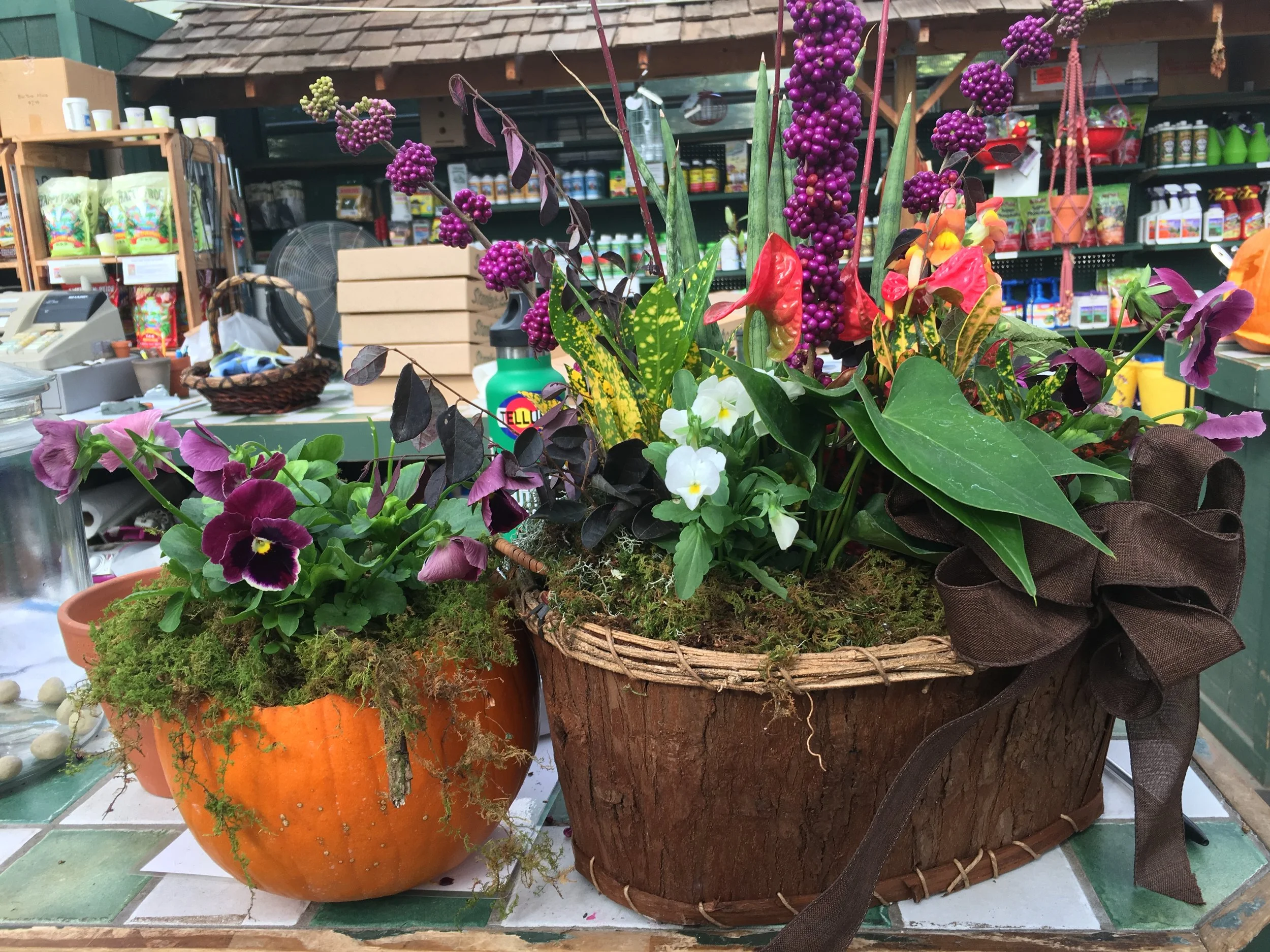 Fall Container Gardening With Abby Stanley-Jerrolds