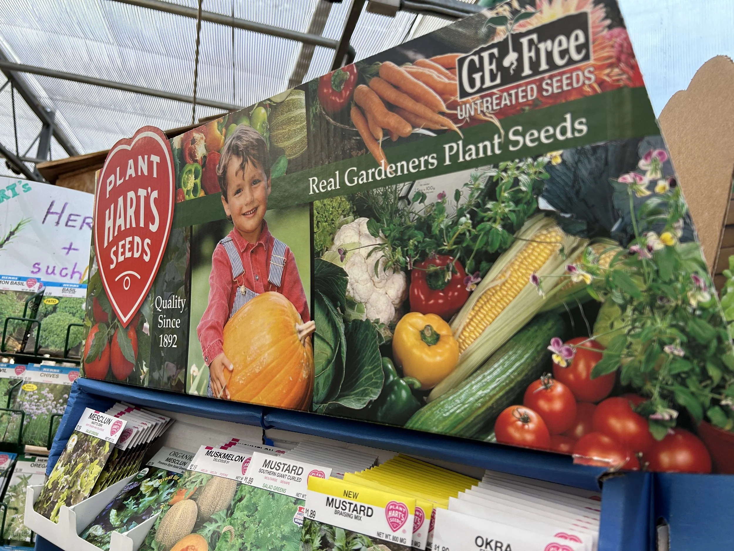 Children's Seed Planting Workshop