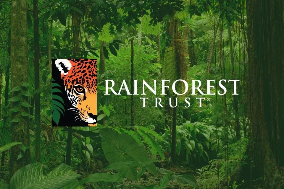 Stanley's Annual Rainforest Support Day