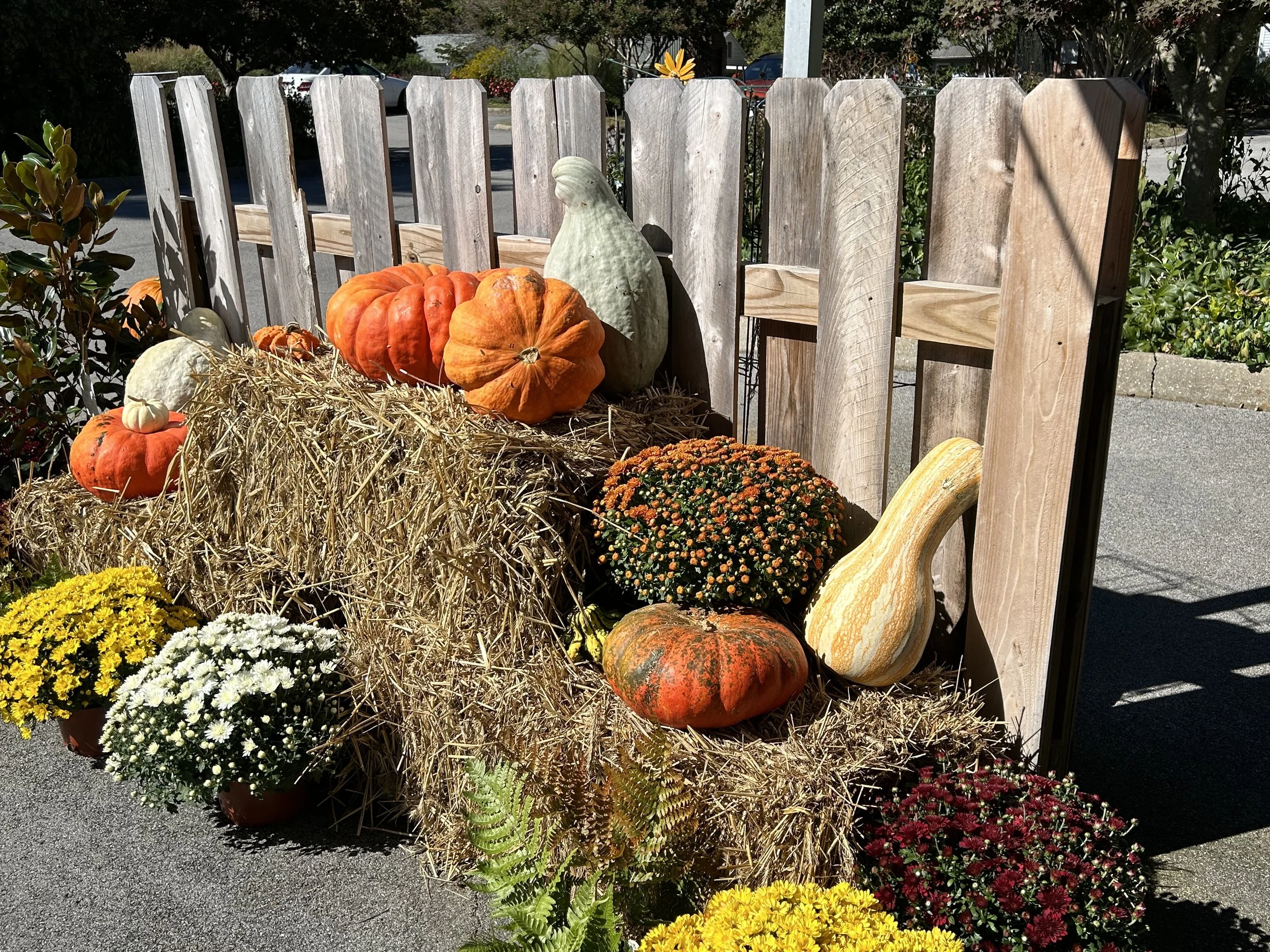 Stanley's Fall Festival