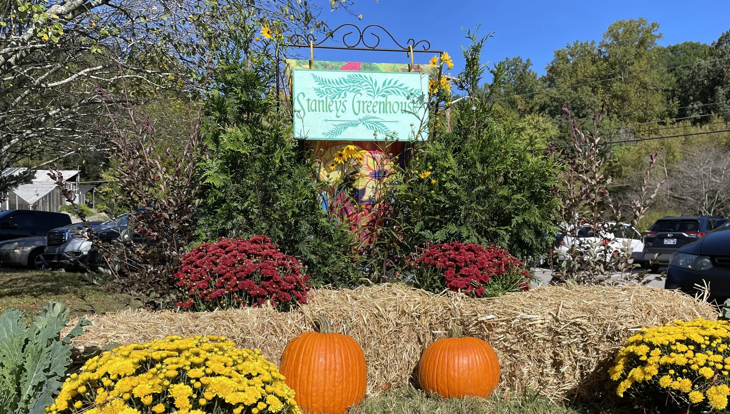 Stanley's Fall Festival