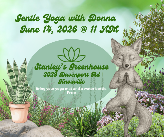 Gentle Yoga with Donna