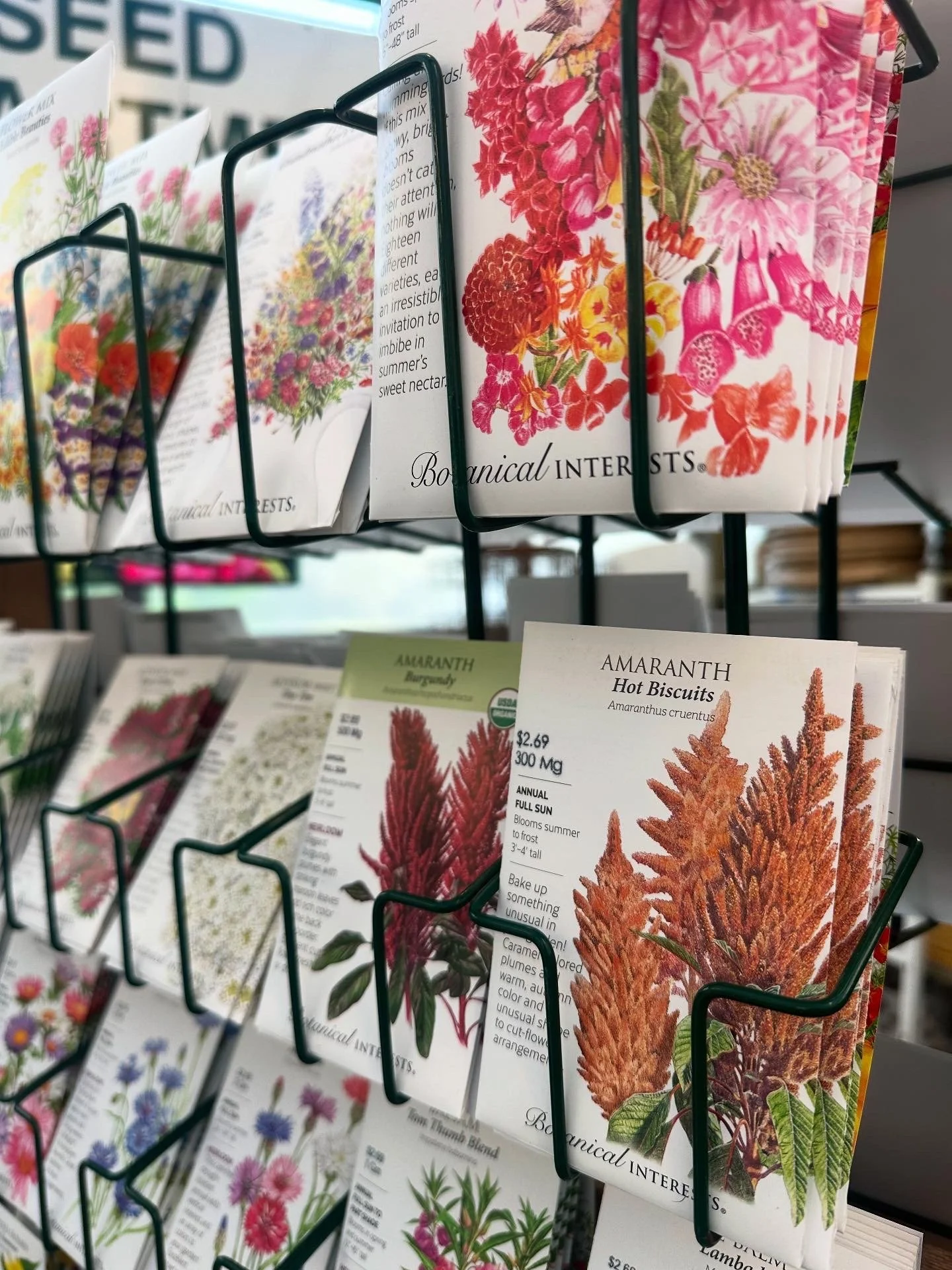 Seeding for Children Workshop