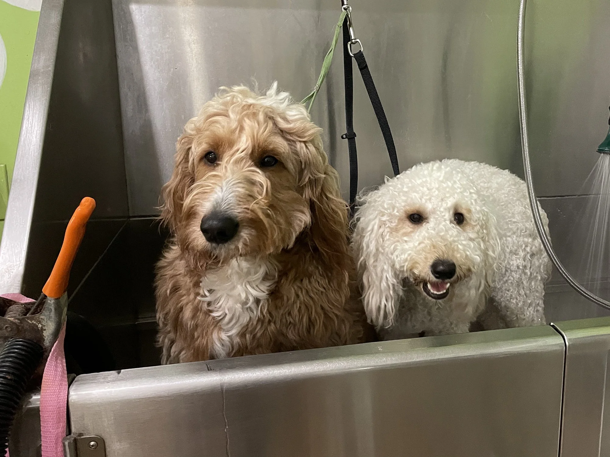 bath-time.jpg