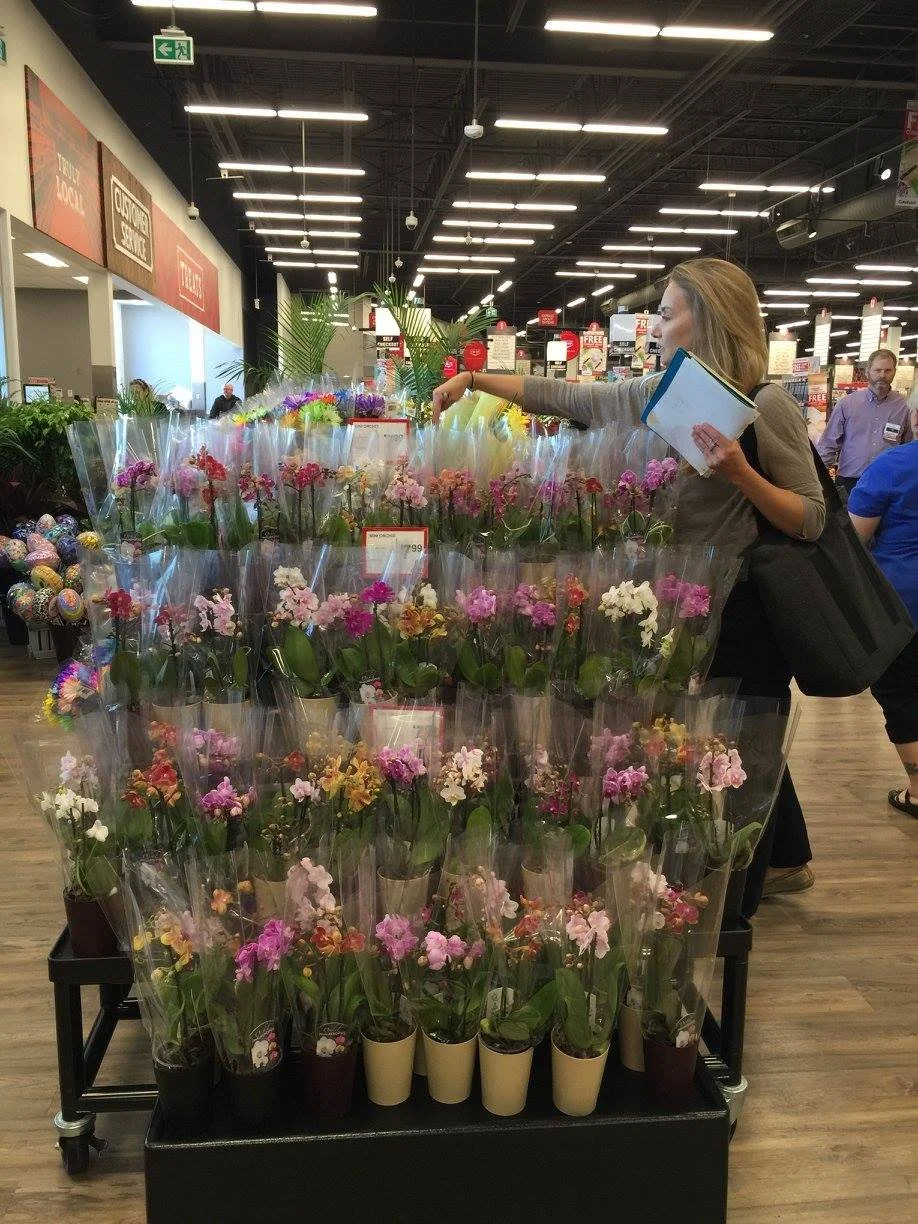 Co-op Floral.jpg