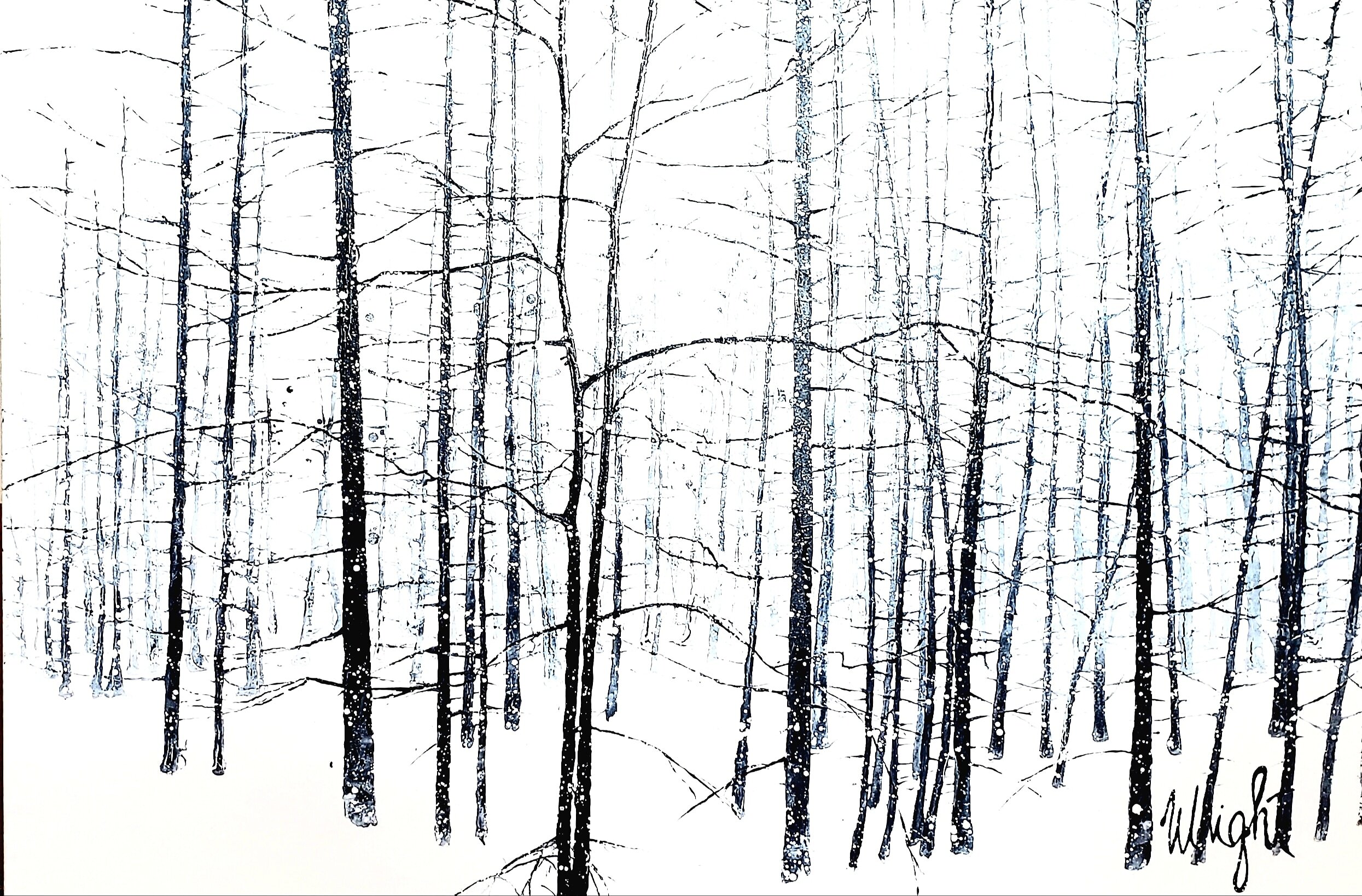 December Snow, Beaver Creek   60"x 40" x2"