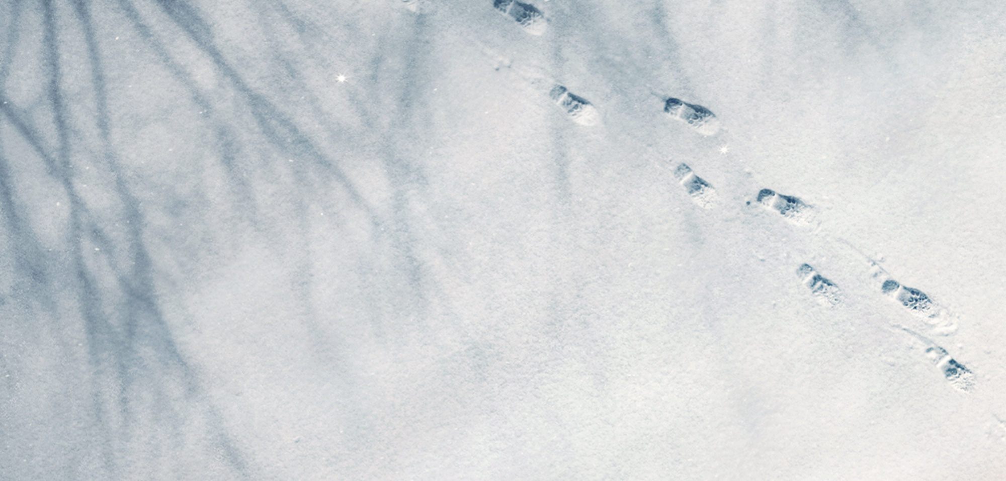 pierre_bourjo_cgi_jaguar_close-up_3.jpg