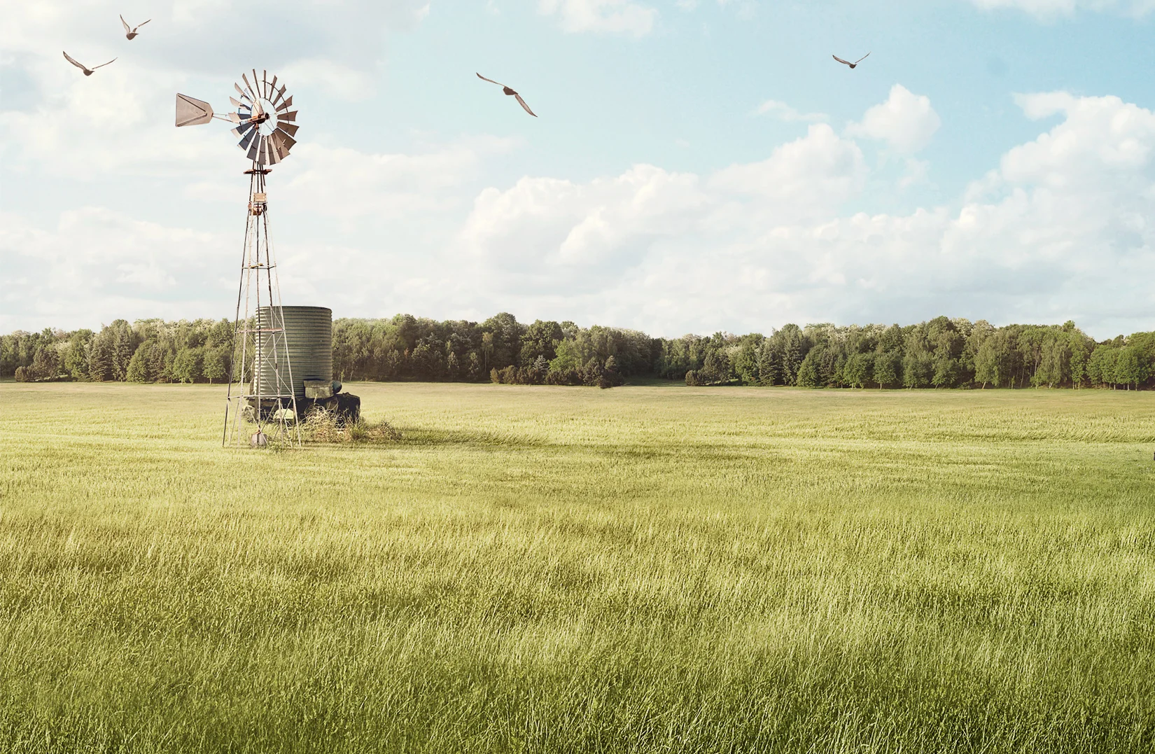 pierre_bourjo_cgi_ontario_turkey_farm_landscape_close_up_2.jpg