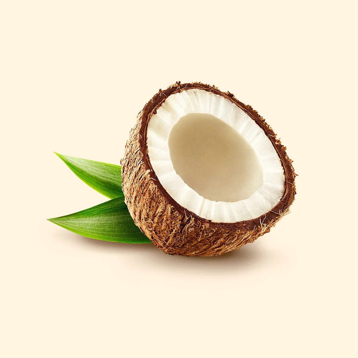 pierre_bourjo_cgi_ReddiWip_coconut.jpg
