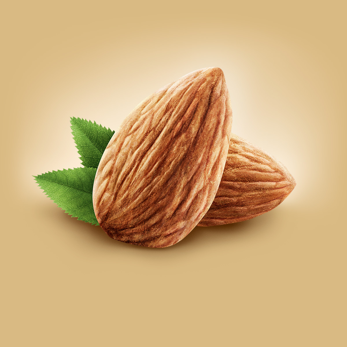 pierre_bourjo_cgi_ReddiWip_almond.jpg