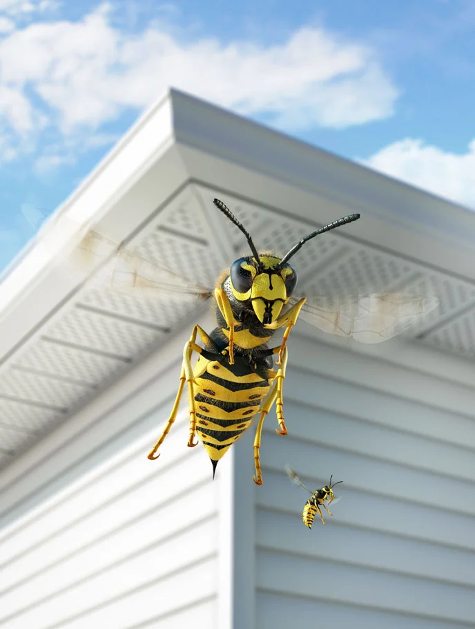 pierre_bourjo_cgi_scotts_wasp.jpg