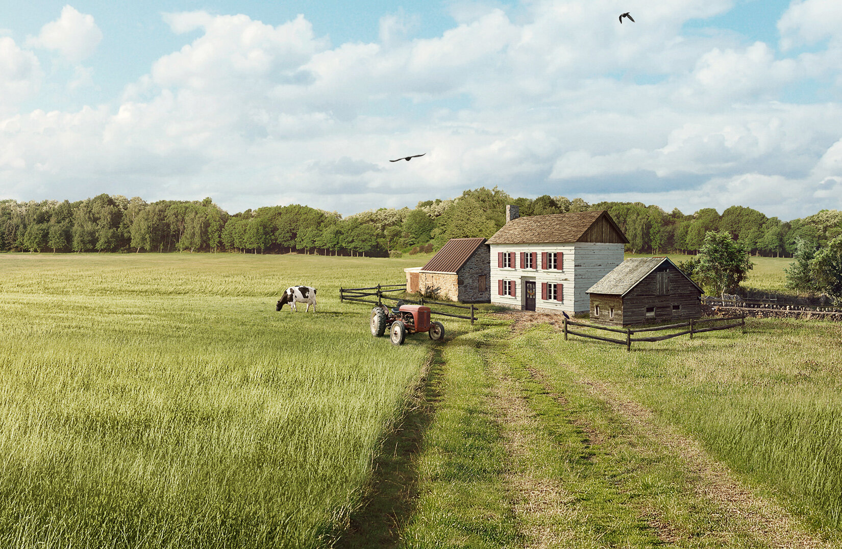 pierre_bourjo_cgi_ontario_turkey_farm_landscape_close_up_1.jpg