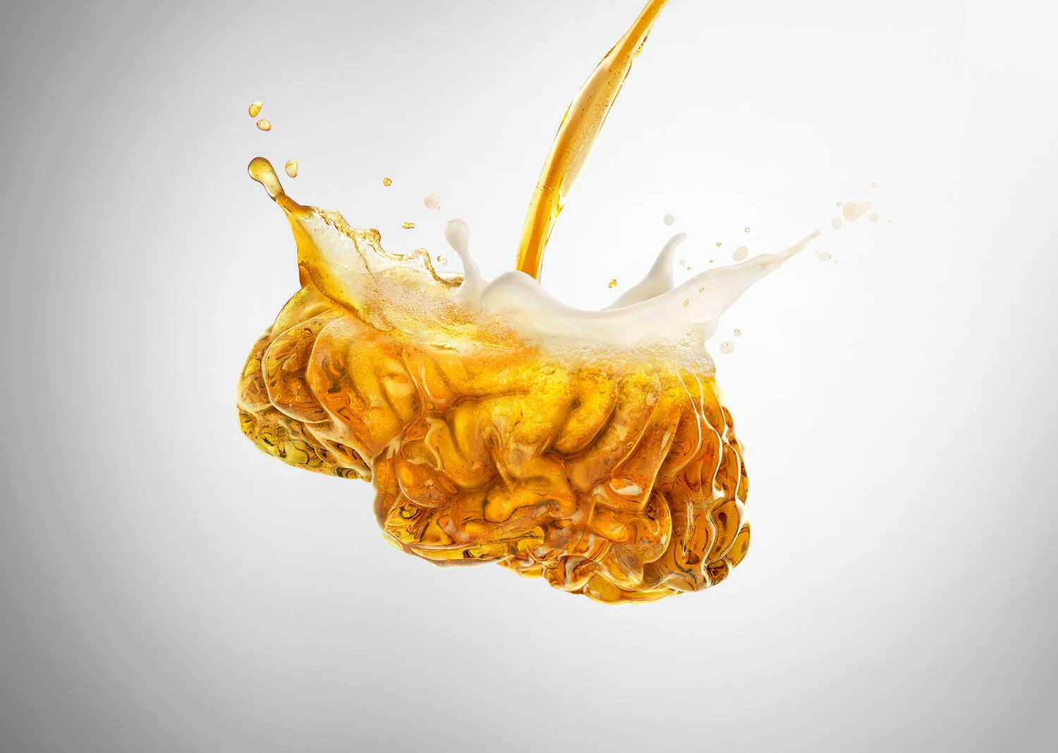 pierre_bourjo_beer_brain.jpg