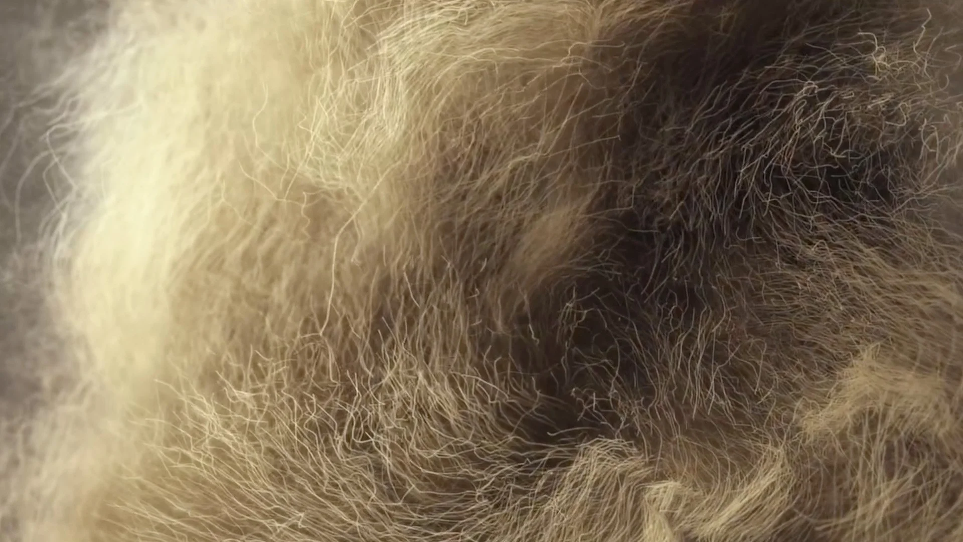 Nicole Hollis / Artistry Of Home