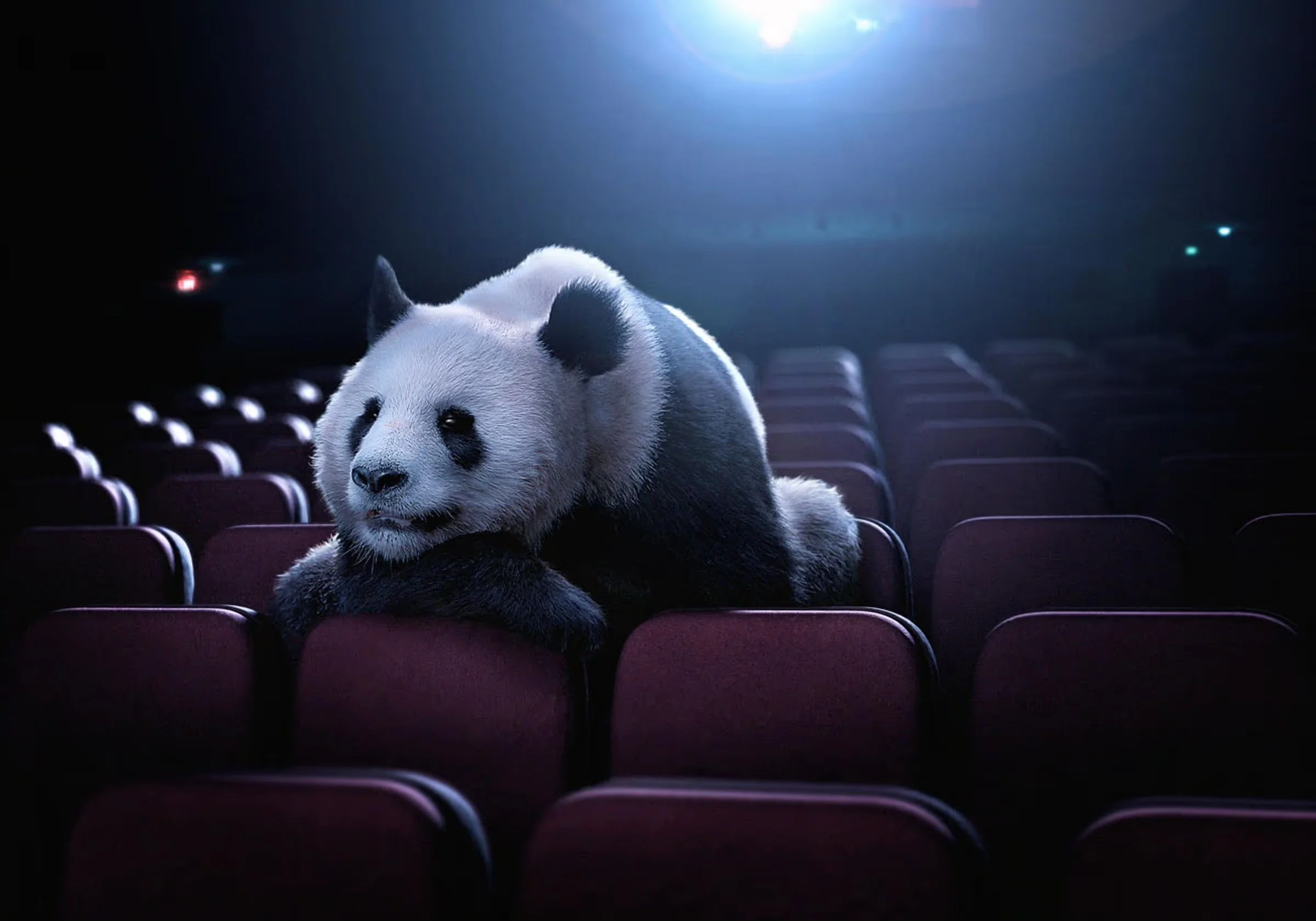 pierre_bourjo_cgi_theatre_panda.jpg