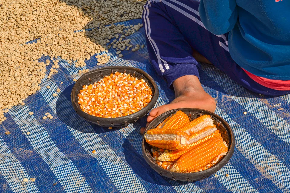  Chiang Rai, Thailand, 2013 