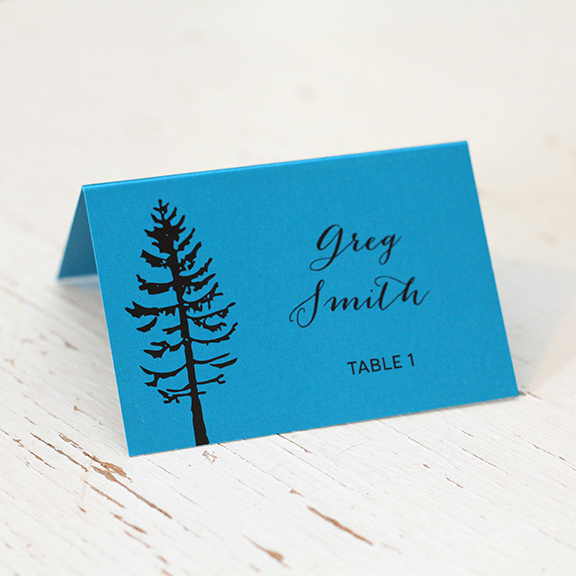 Wedding_Stationery_Place_Card_Escort_Invitation_Calgary_Banff_Canmore_Edmonton_Delivery_Blue_Paper_Tree_SM.jpg