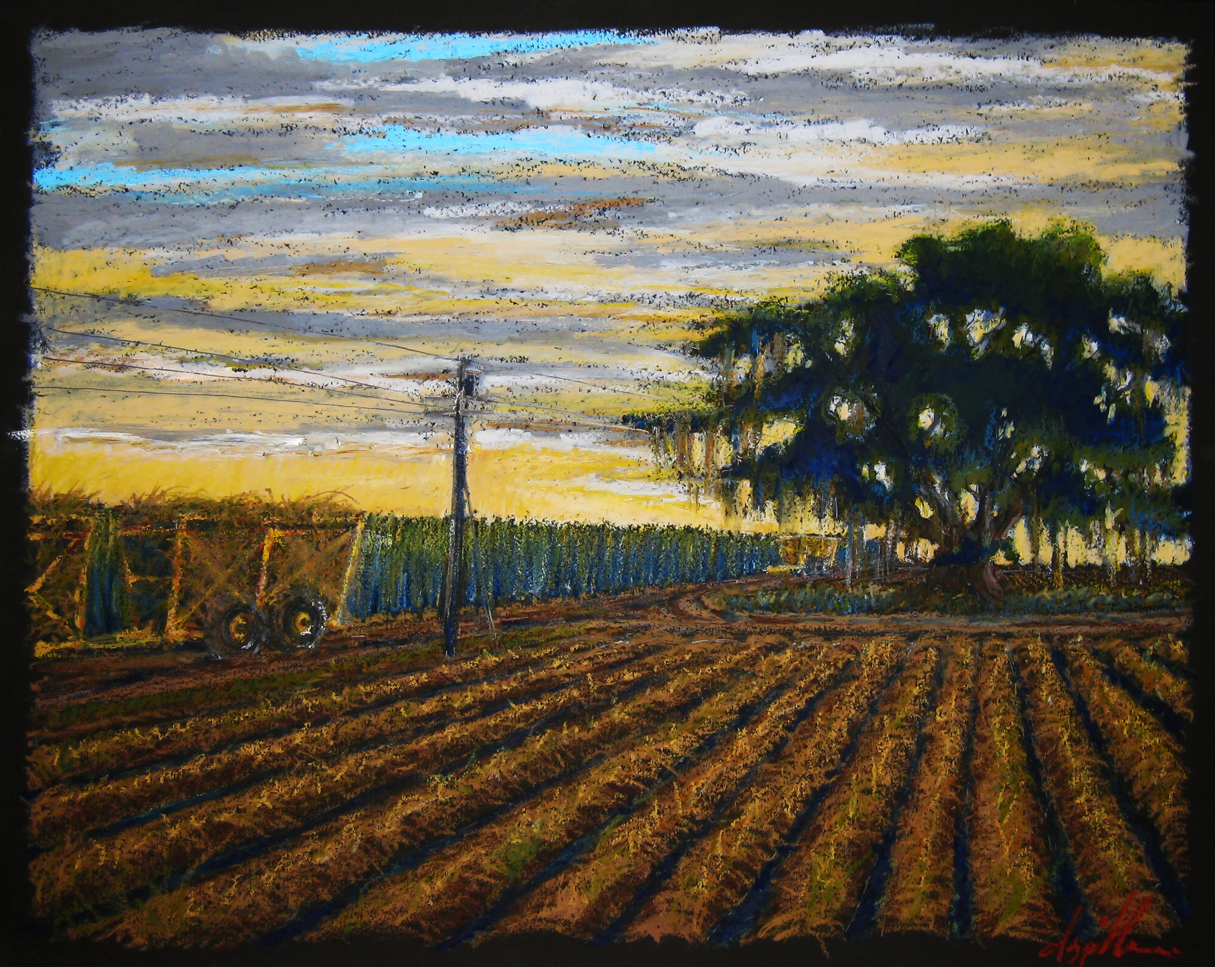 Harvest Moss 20 x 25 inches.jpg