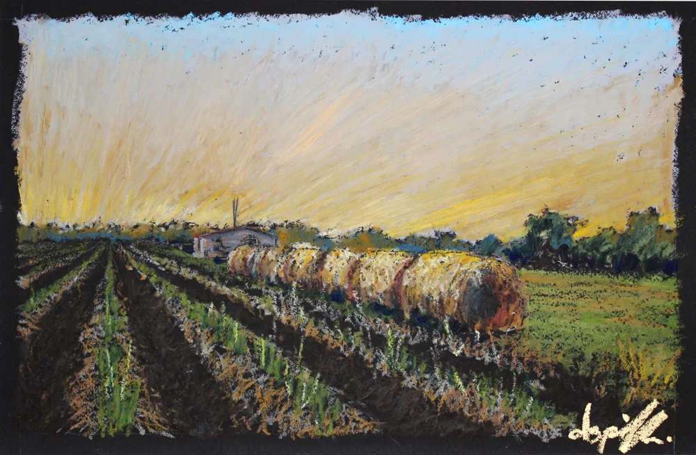 Perspective Hay 10 x 15 inches.jpg