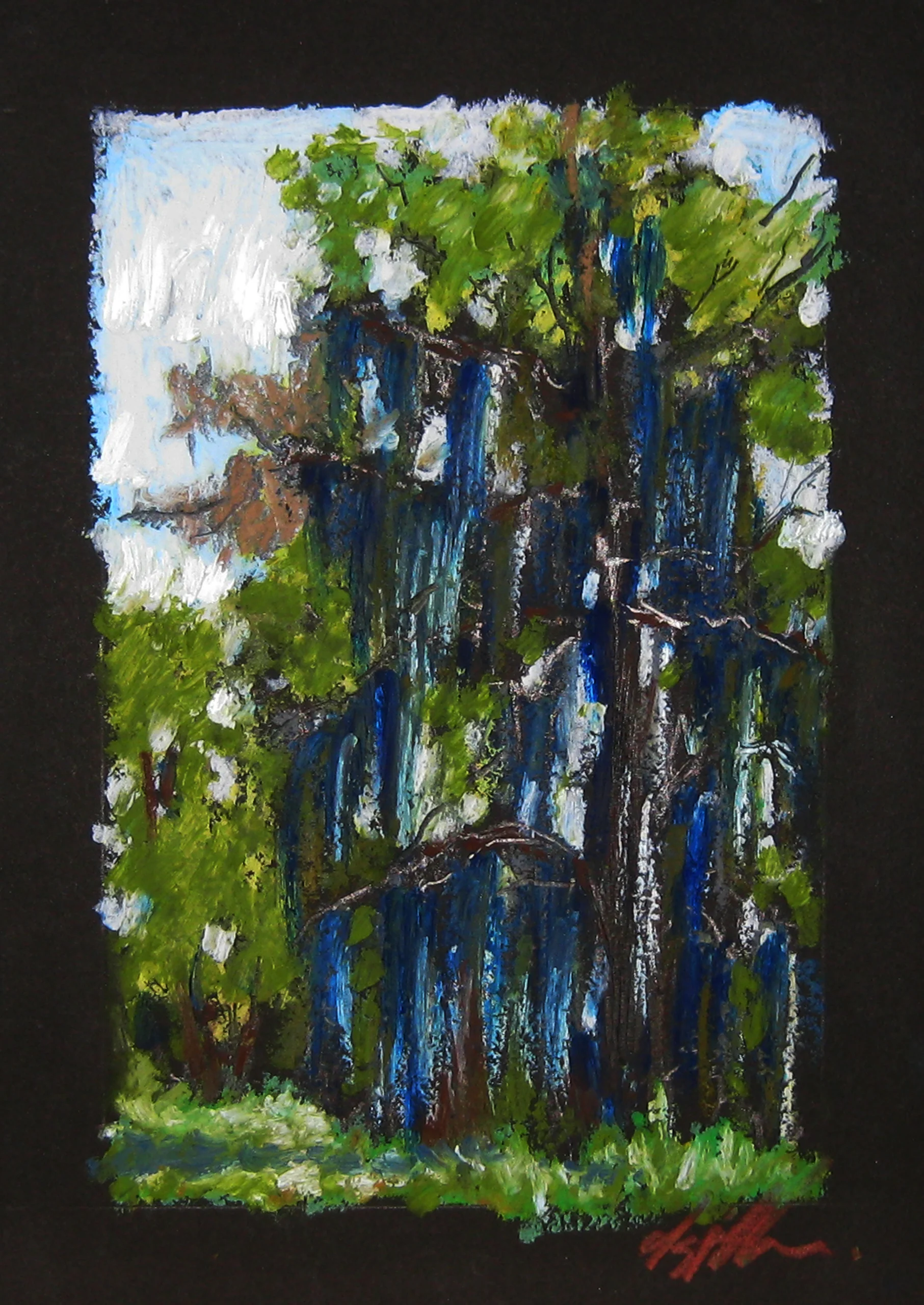 Blue Cypress 5 x 7 inches.jpg
